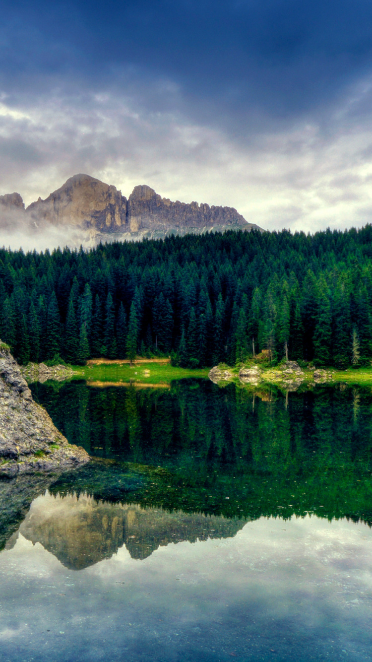 Обои лес, природа, отражение, дикая местность, озеро в разрешении 750x1334