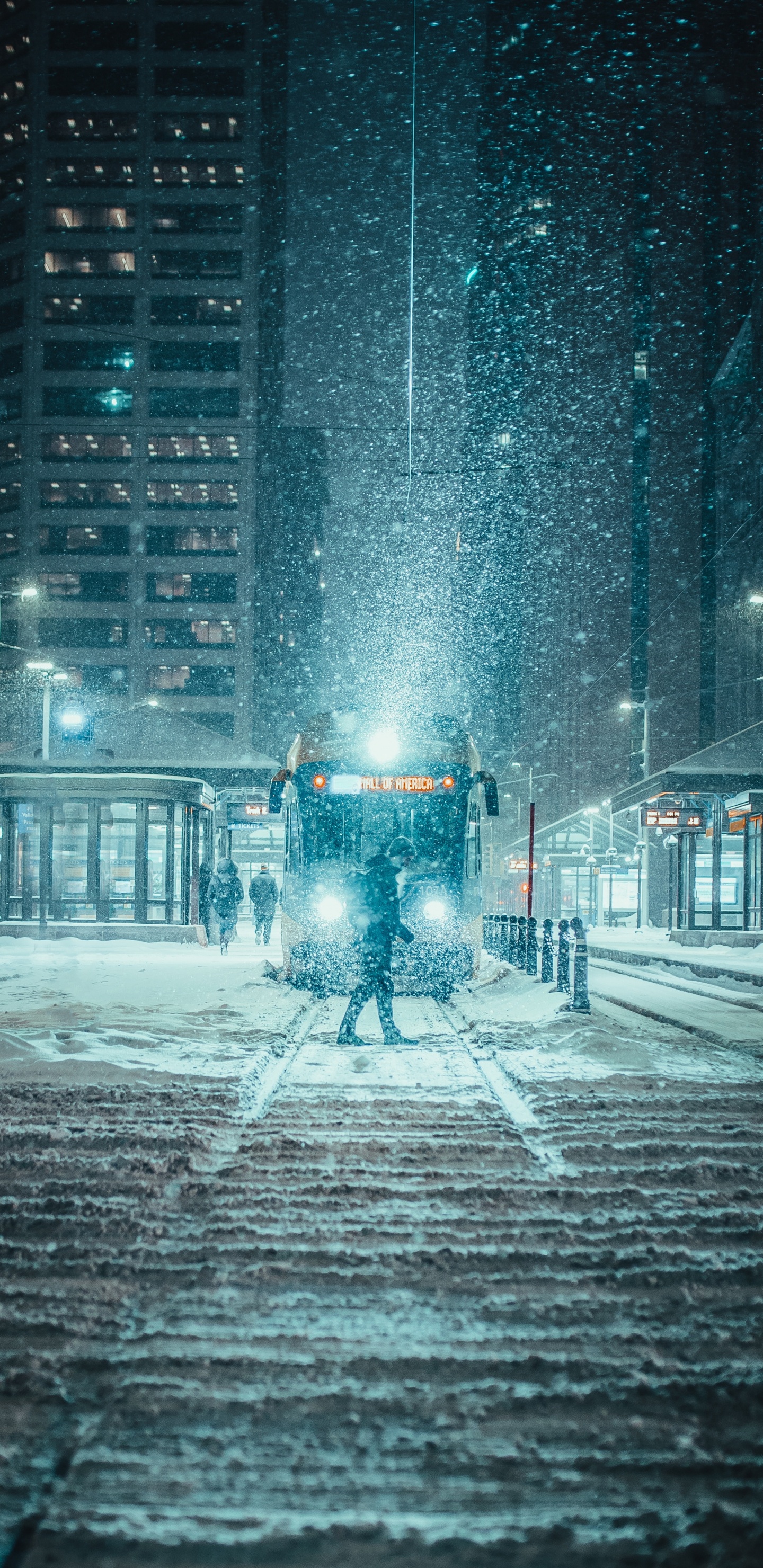 Обои снег, зима, ночь, зимний шторм, город в разрешении 1440x2960