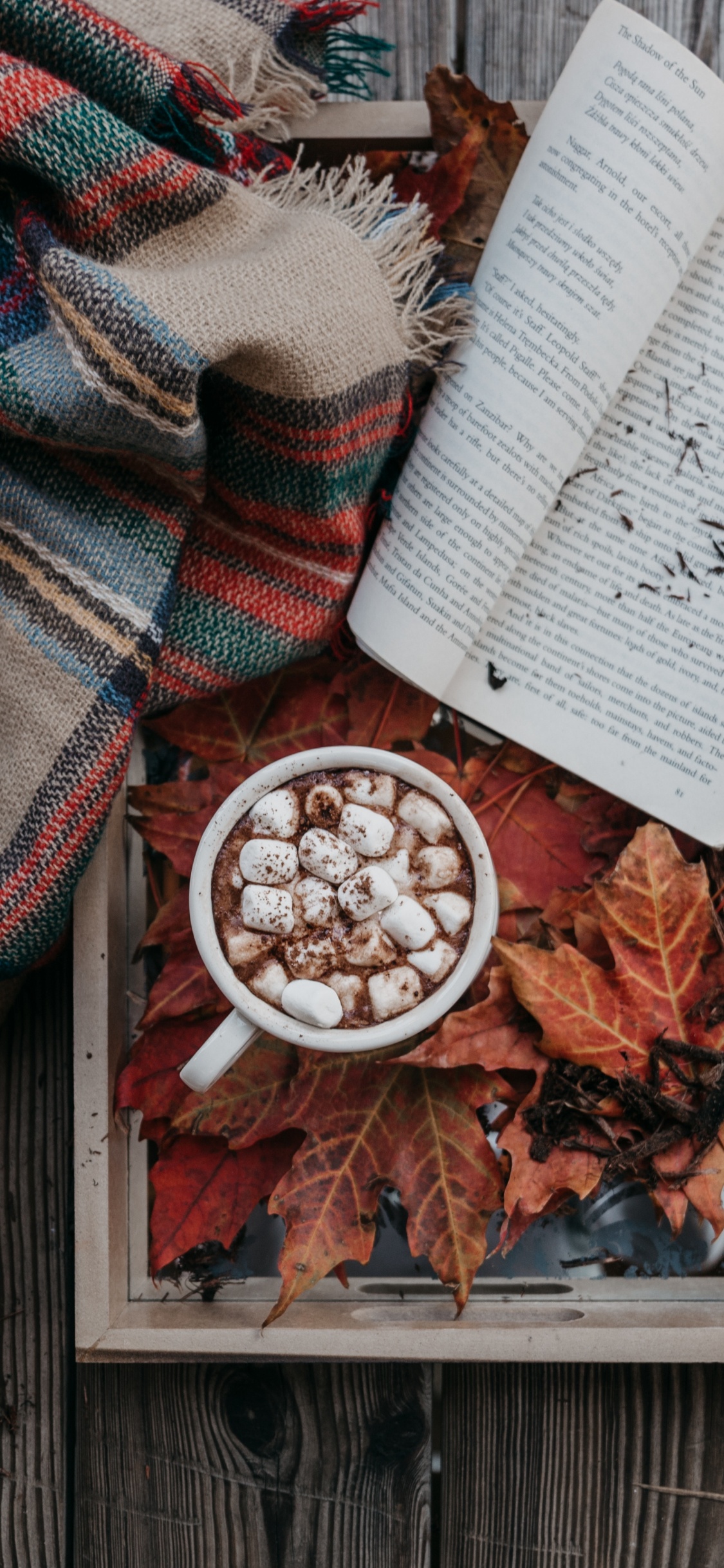 Обои осень, плед, шотландка, узор, ткань в разрешении 1125x2436