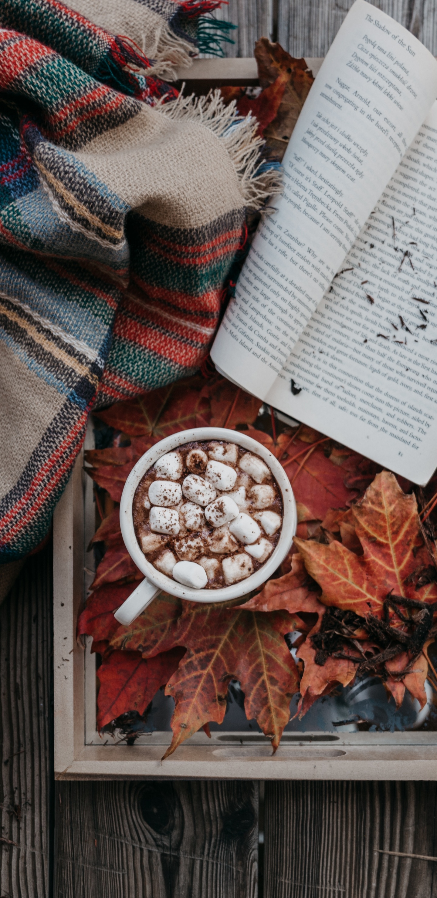 Обои осень, плед, шотландка, узор, ткань в разрешении 1440x2960