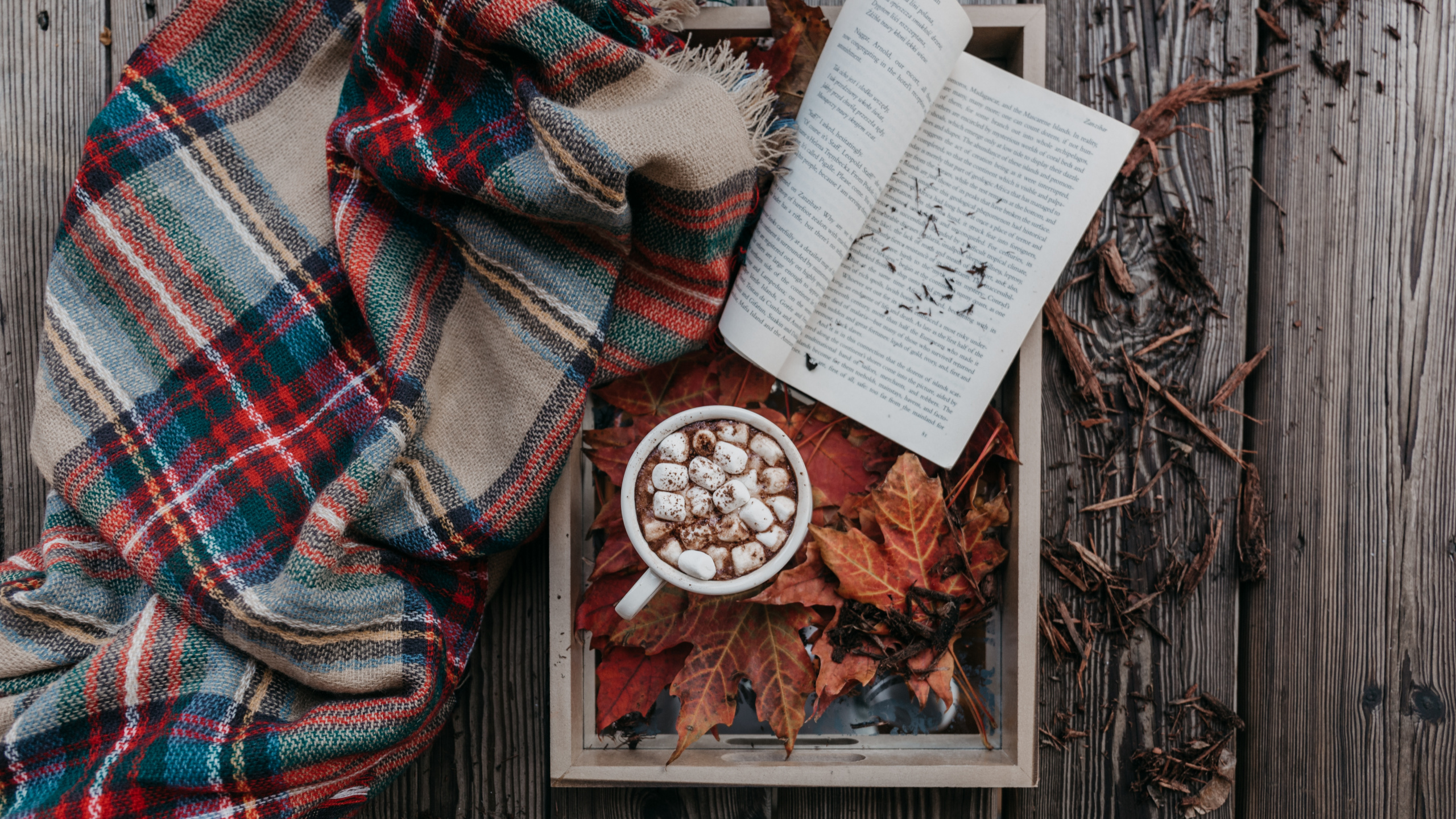 Обои осень, плед, шотландка, узор, ткань в разрешении 2560x1440