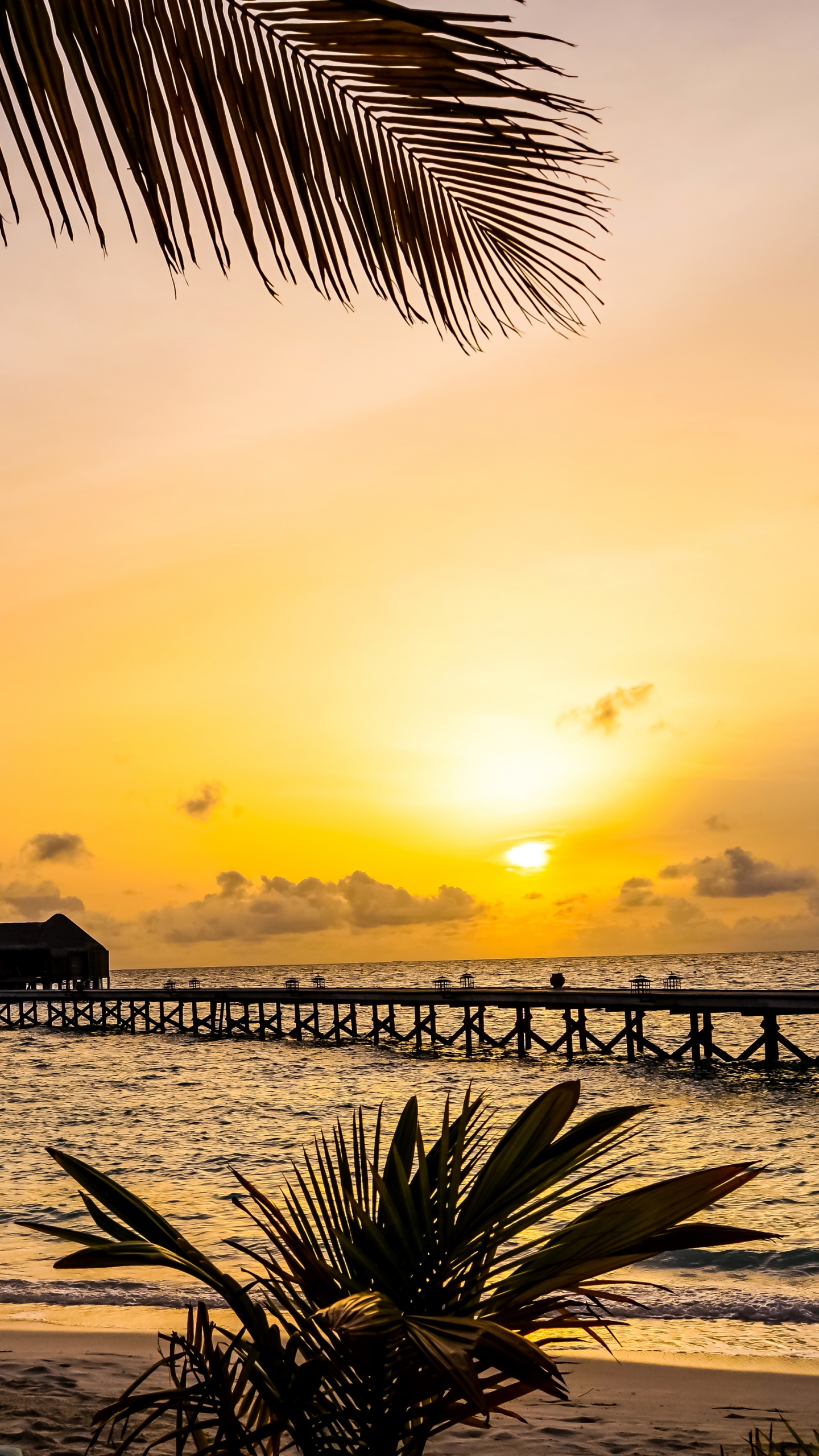 Обои халавели, закат, прибежище, море, пляж в разрешении 1440x2560