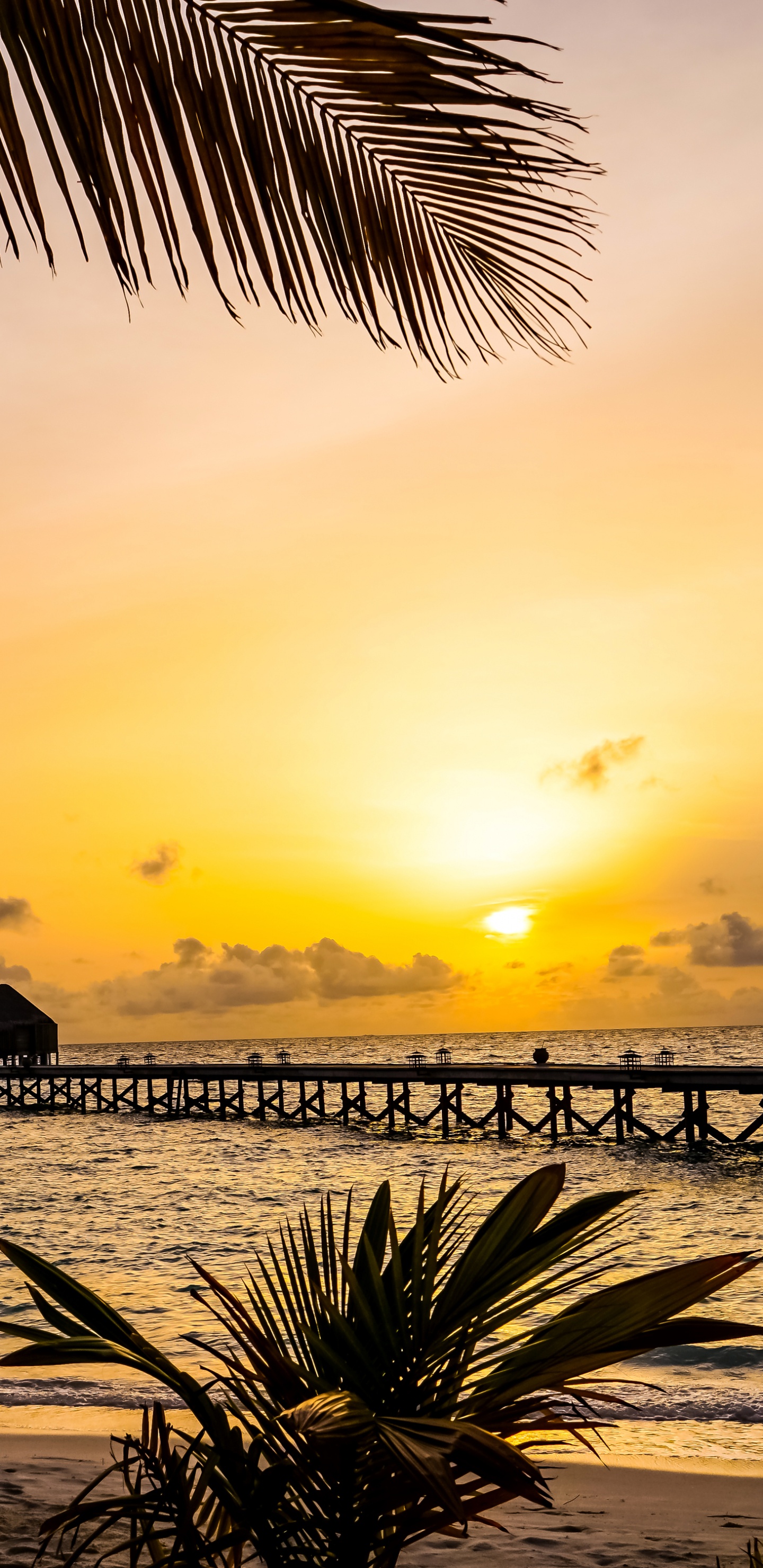 Обои халавели, закат, прибежище, море, пляж в разрешении 1440x2960