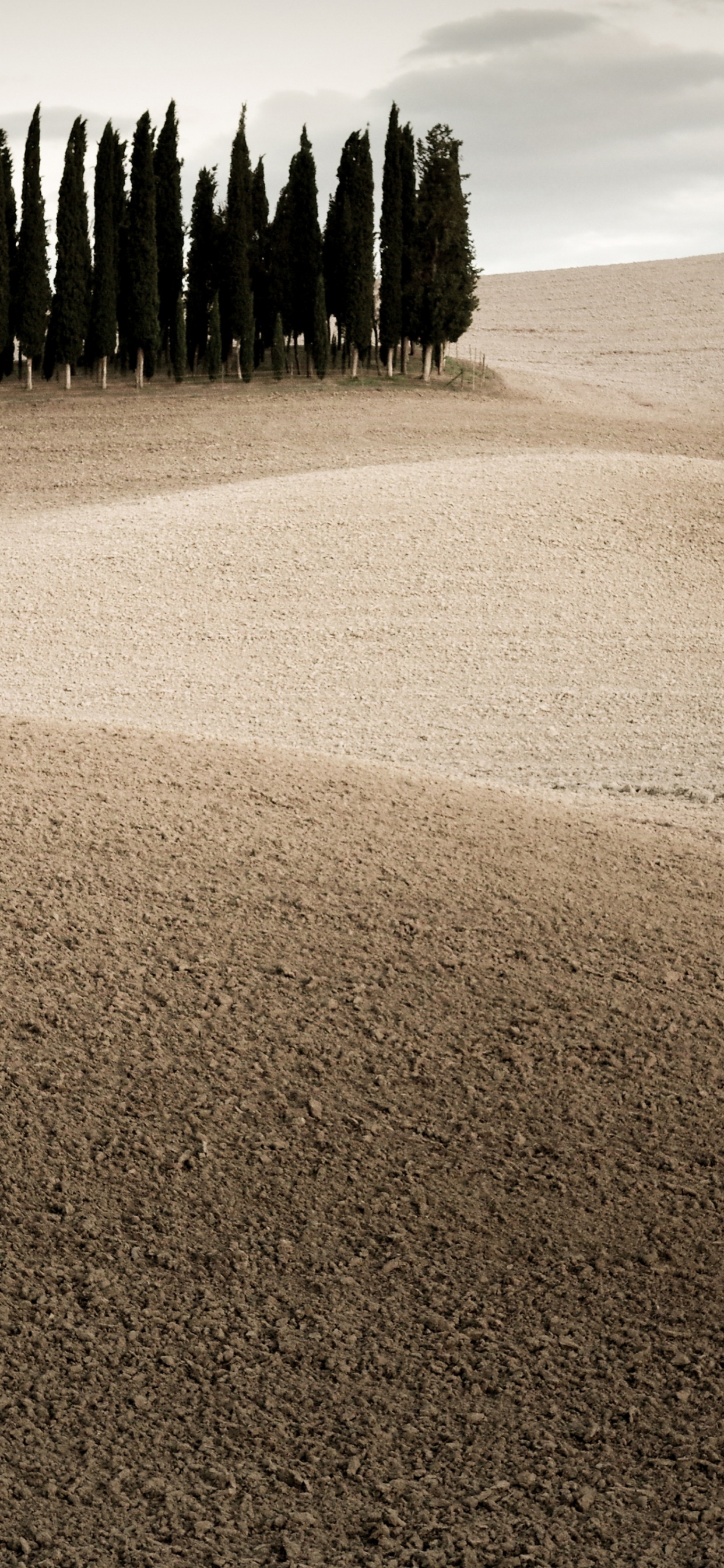 Обои Apple МасВоок Pro, макбук Эйр, iMac, яблоко, облако в разрешении 1242x2688