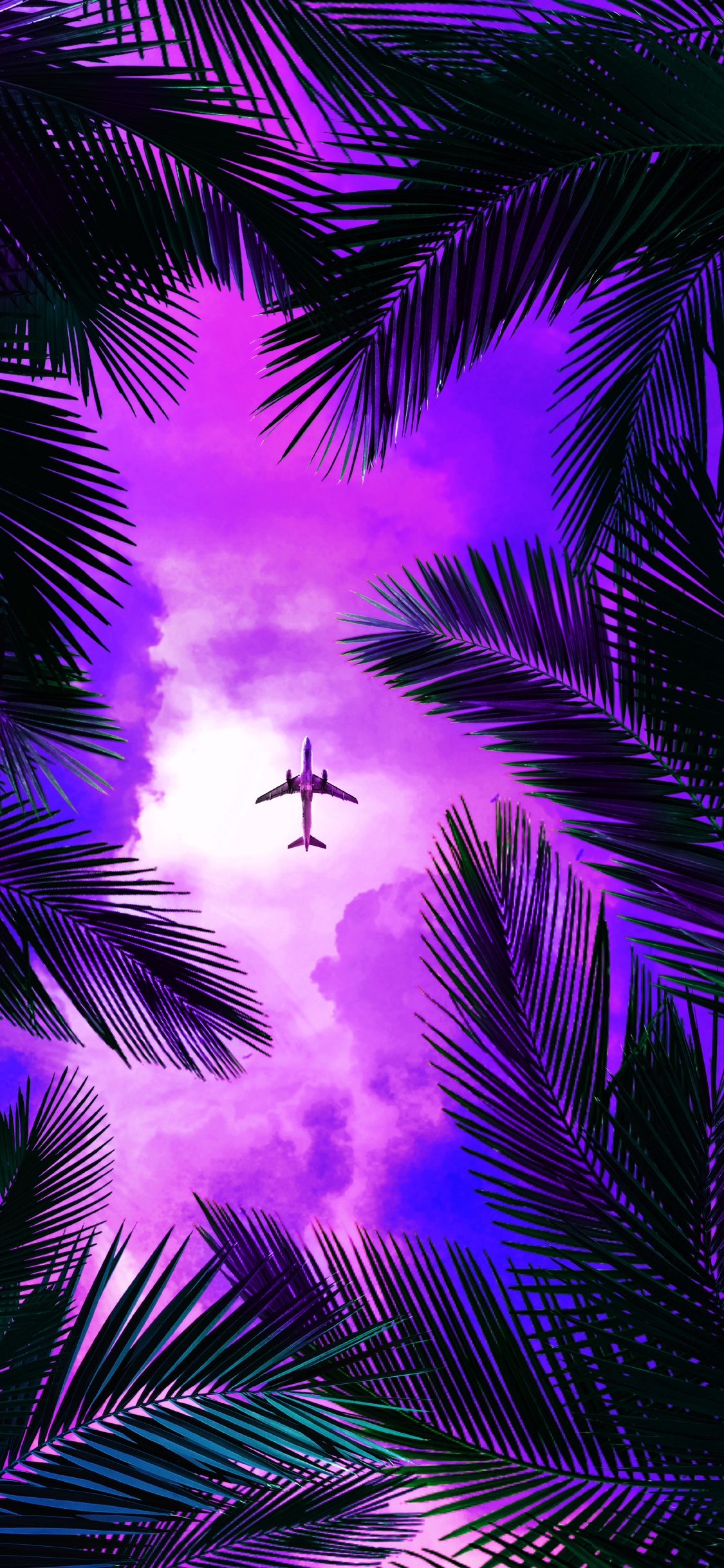 Обои пурпур, свет, природа, дерево, освещение в разрешении 1125x2436