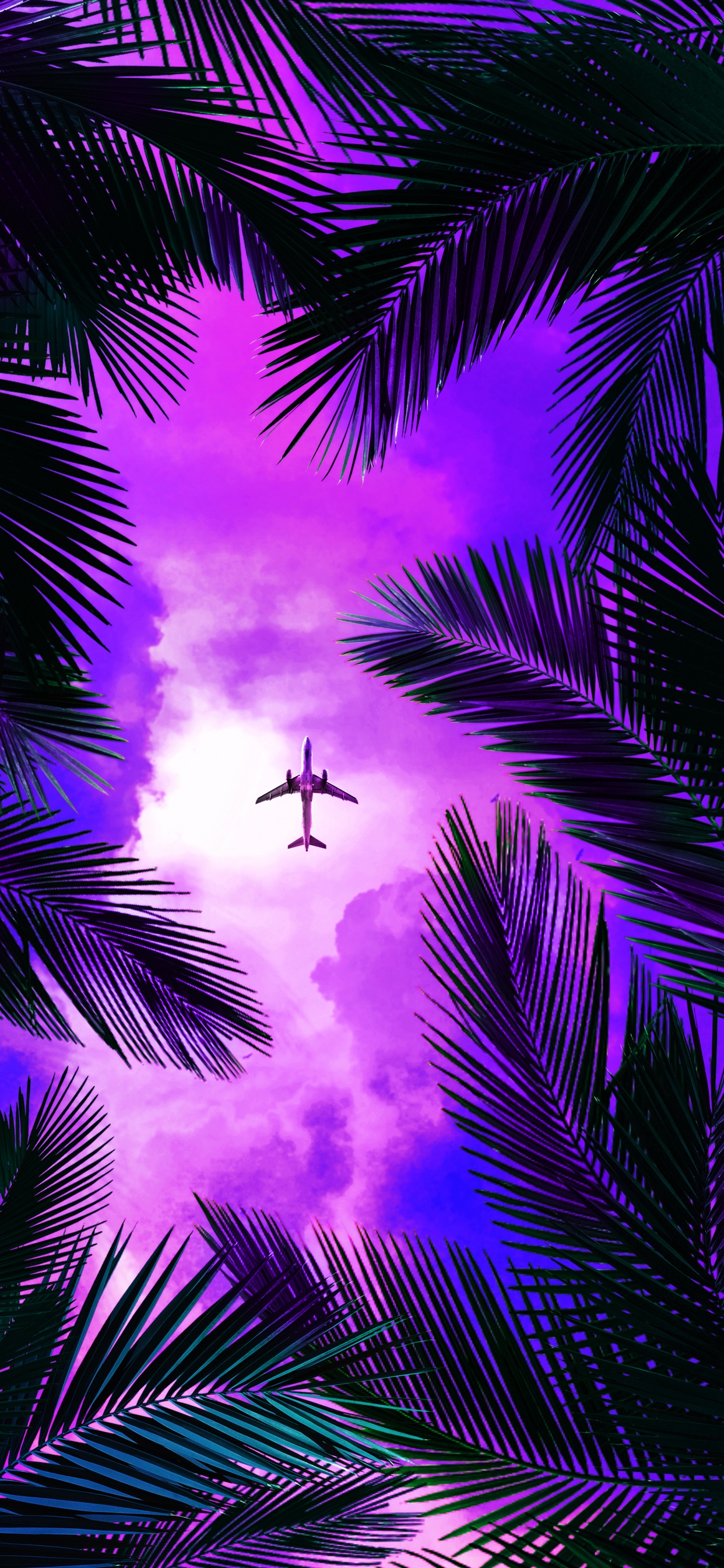 Обои пурпур, свет, природа, дерево, освещение в разрешении 1242x2688