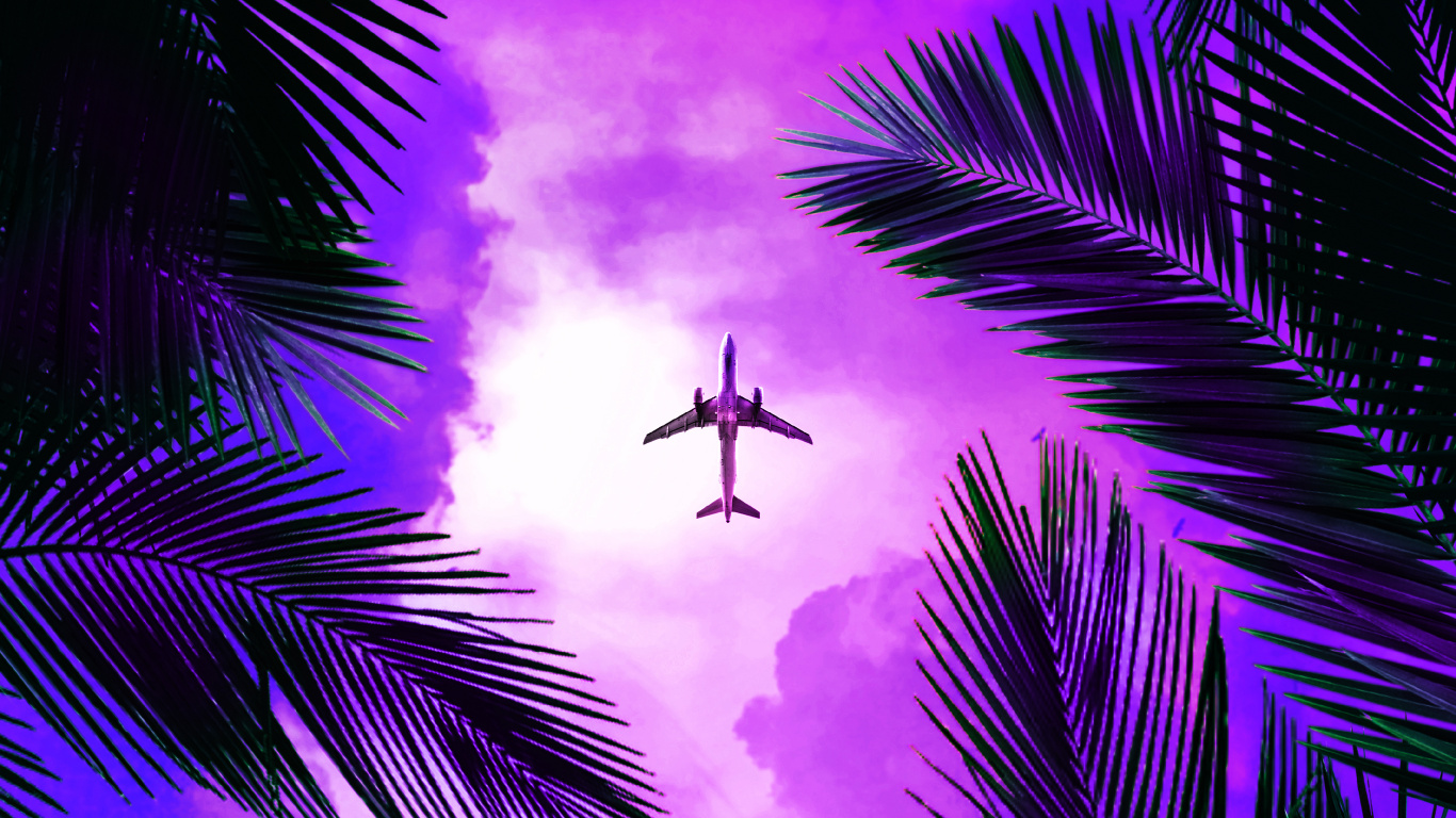 Обои пурпур, свет, природа, дерево, освещение в разрешении 1366x768