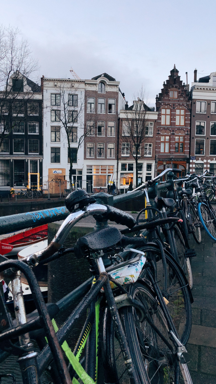 Обои Амстердам, дорожный велосипед, велосипед, гибридный велосипед, Король в разрешении 750x1334