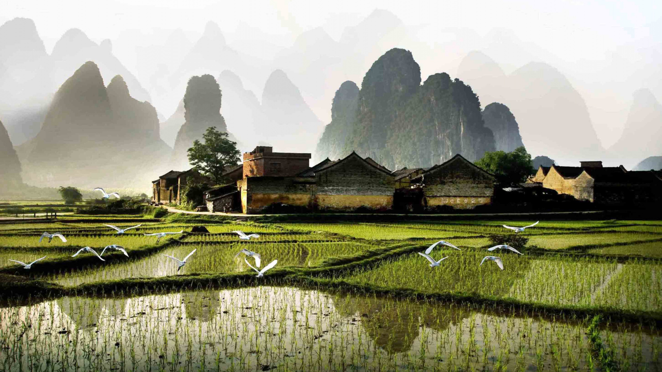 Обои Округ Яншо, путешествие, достопримечательность, природа, сельский район в разрешении 1366x768