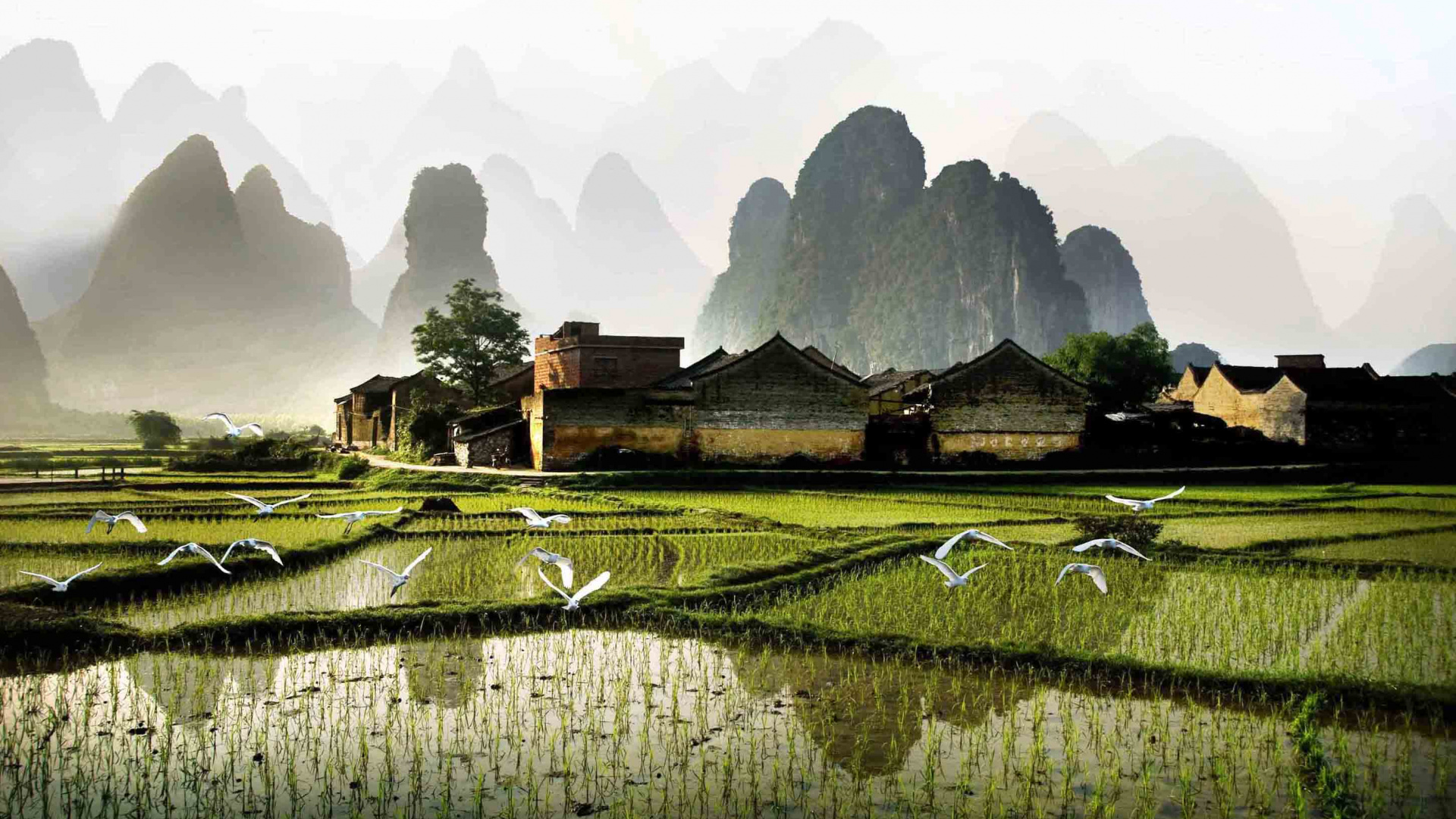 Обои Округ Яншо, путешествие, достопримечательность, природа, сельский район в разрешении 1920x1080