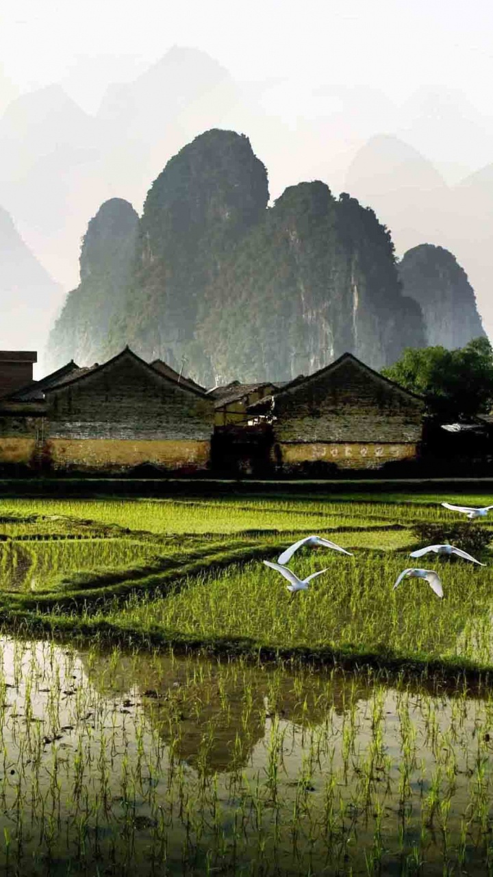 Обои Округ Яншо, путешествие, достопримечательность, природа, сельский район в разрешении 720x1280