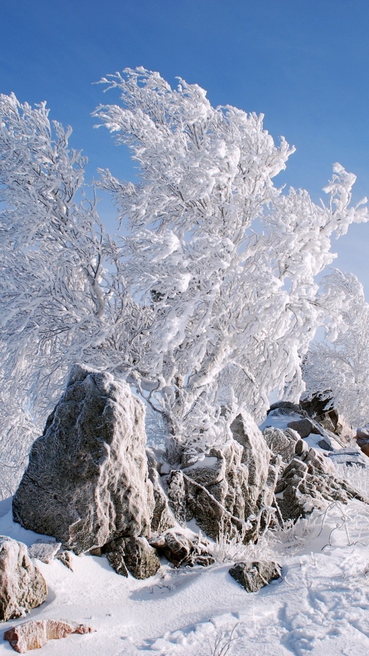 Обои зима, снег, гора, замораживание, мороз в разрешении 720x1280