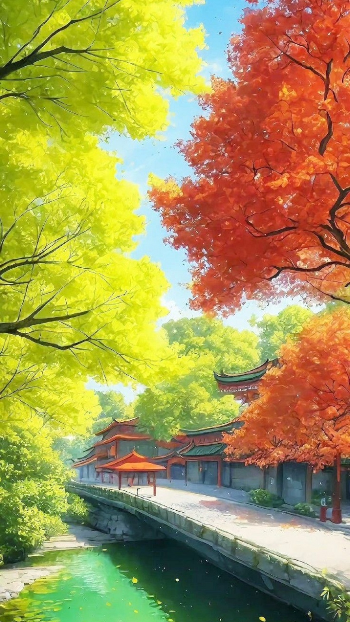 Обои кленовый лист, вода, дневное время, лист, природный ландшафт в разрешении 720x1280