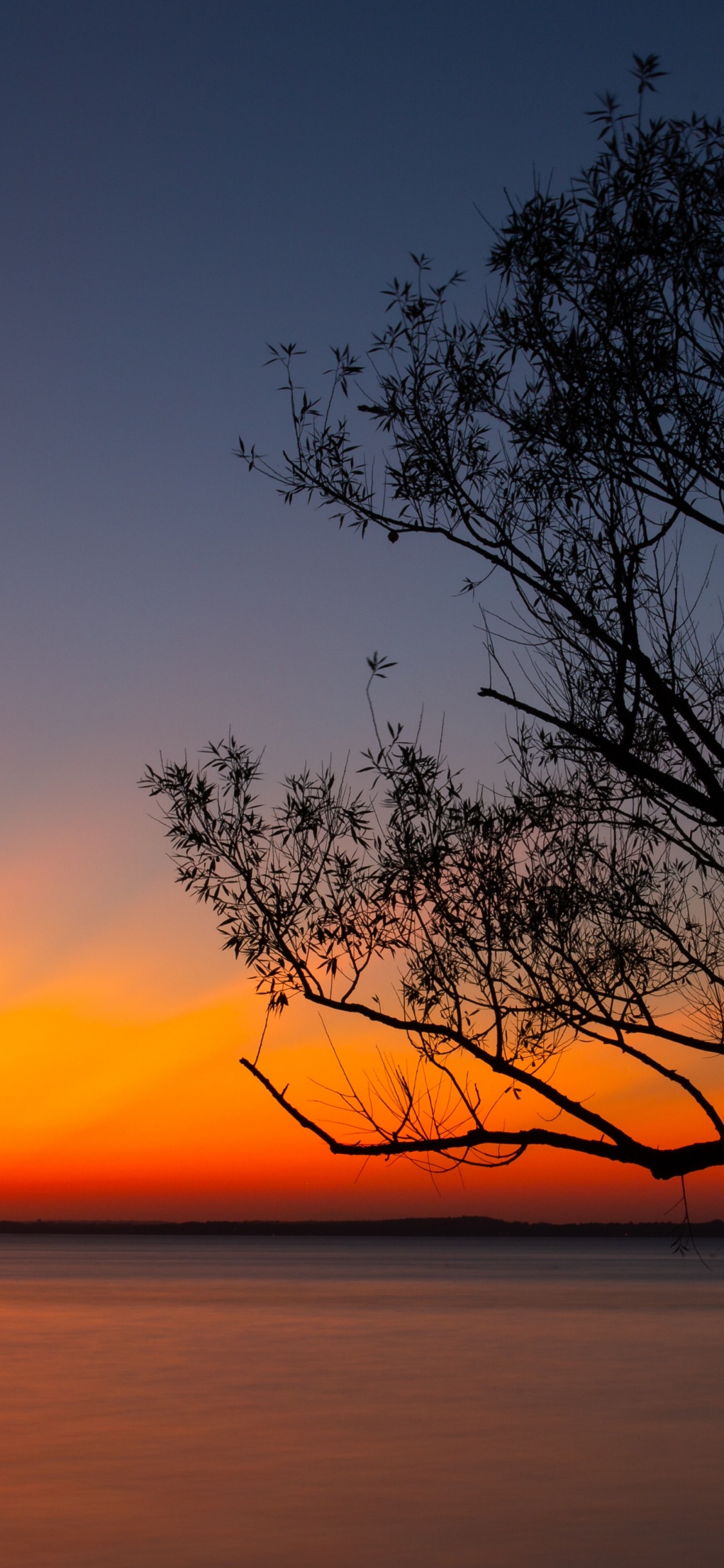 Обои горизонт, восход солнца, природа, небо, сумрак в разрешении 1125x2436