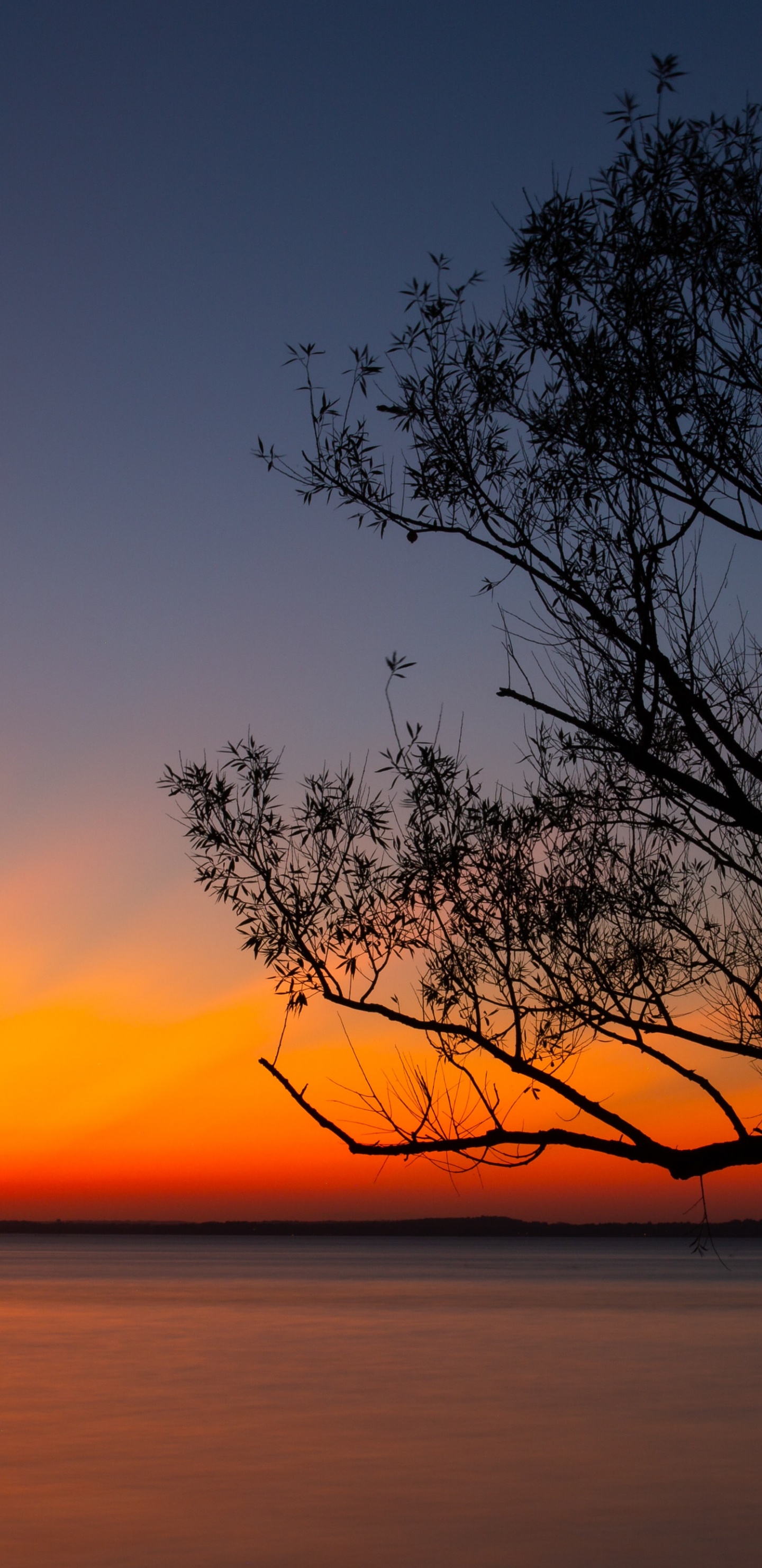 Обои горизонт, восход солнца, природа, небо, сумрак в разрешении 1440x2960