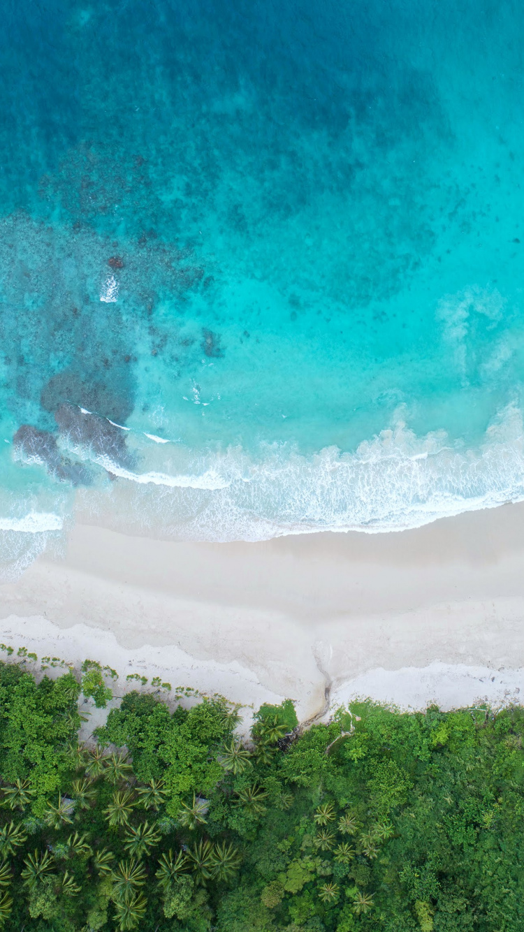 Обои Huawei, Huawei View 20, честь 20, честь вид20, Huawei Honor 20 в разрешении 750x1334