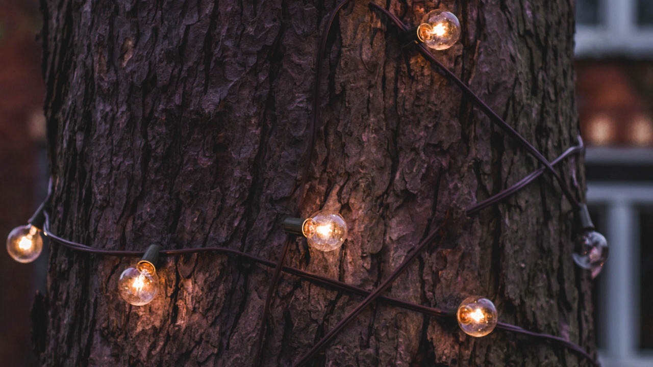 Обои освещение, Лампа накаливания, Рождественские огни, дерево, свет в разрешении 1280x720