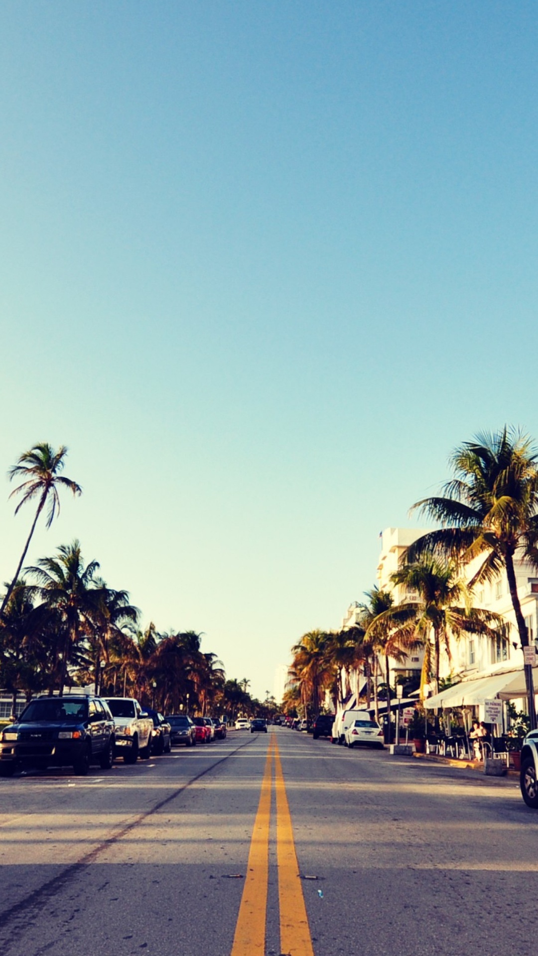 Обои Майами, городок, дерево, городской район, авто в разрешении 1080x1920