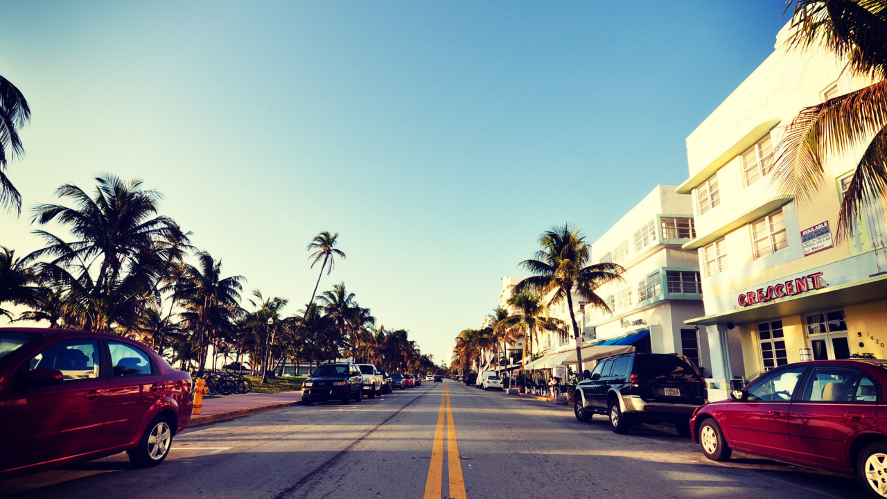 Обои Майами, городок, дерево, городской район, авто в разрешении 1280x720
