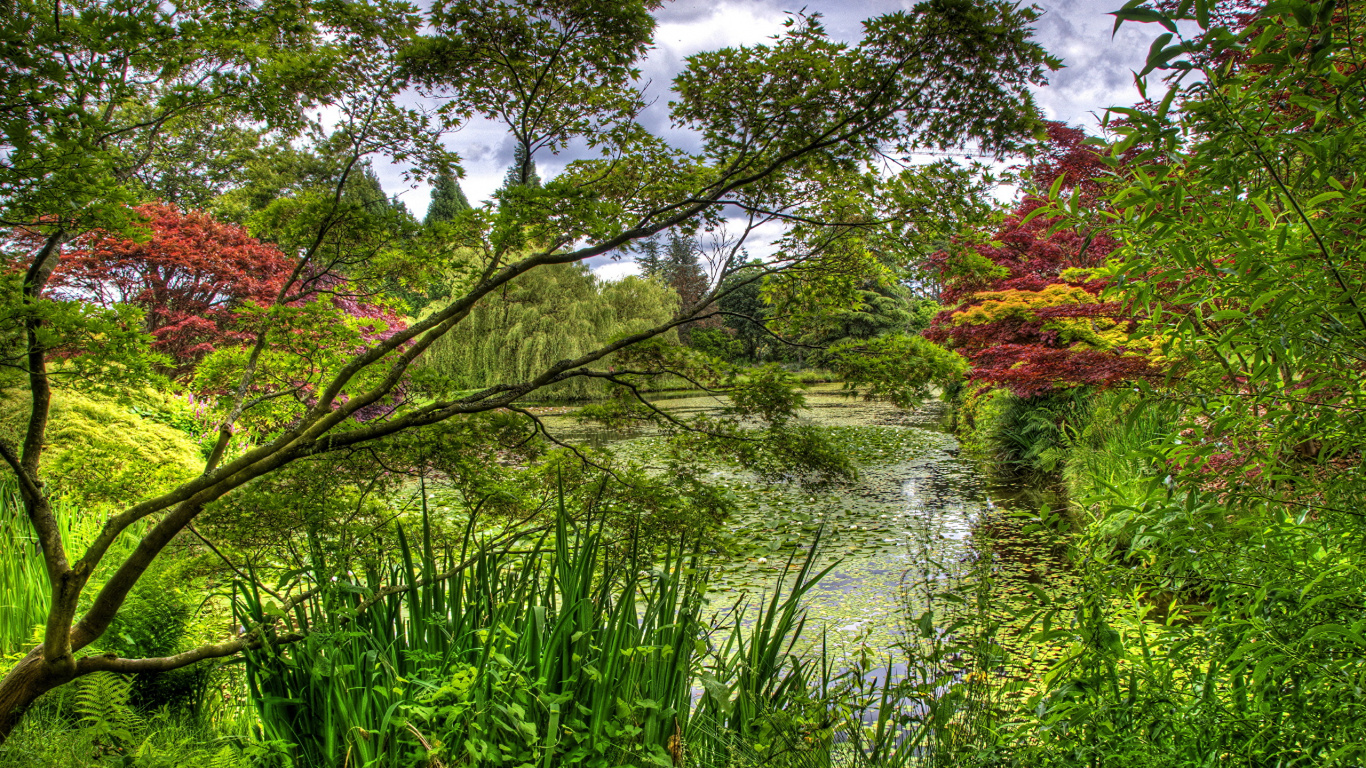 Обои сад, дерево, природа, растительность, природный заповедник в разрешении 1366x768