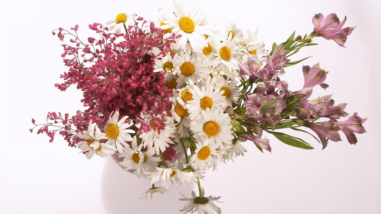 Обои ваза, цветочный букет, цветковое растение, срезанные цветы, флористика в разрешении 1280x720