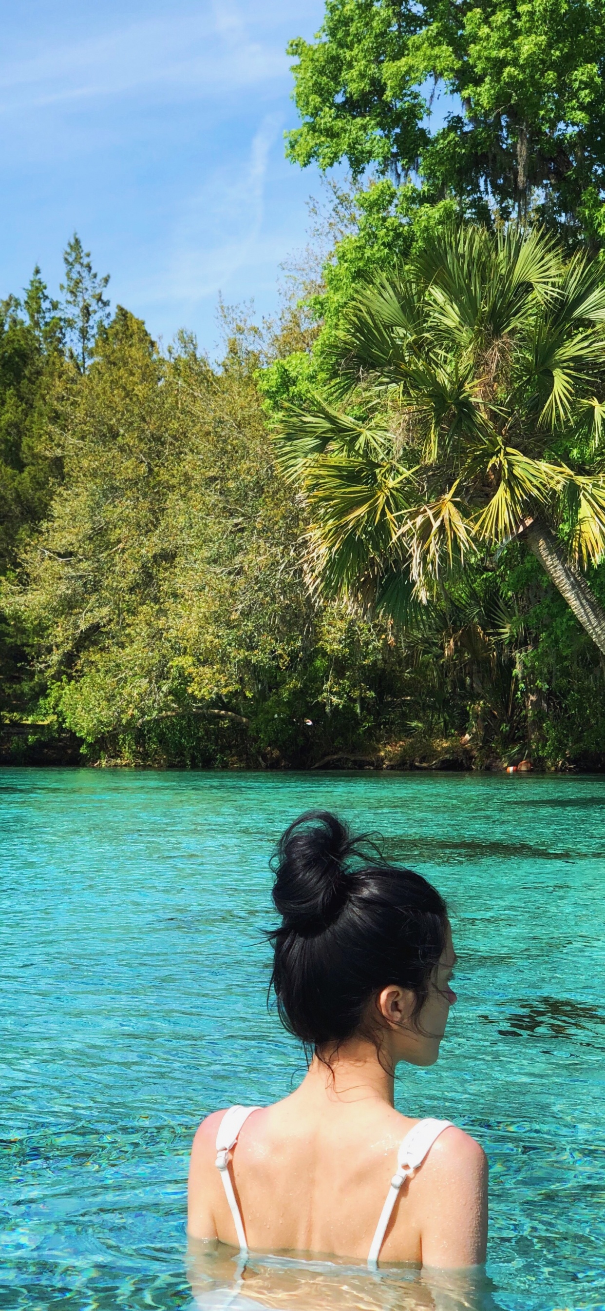Обои вода, Лагуна, море, природа, тропическая зона в разрешении 1242x2688