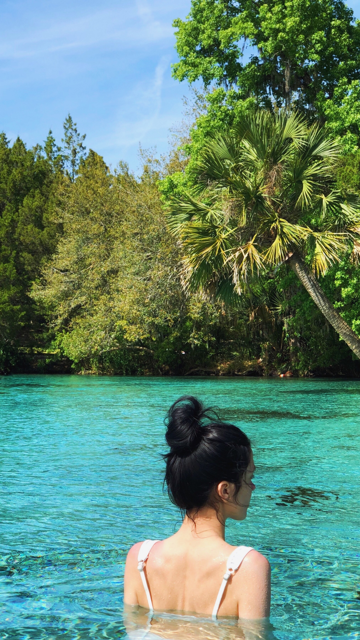 Обои вода, Лагуна, море, природа, тропическая зона в разрешении 1440x2560