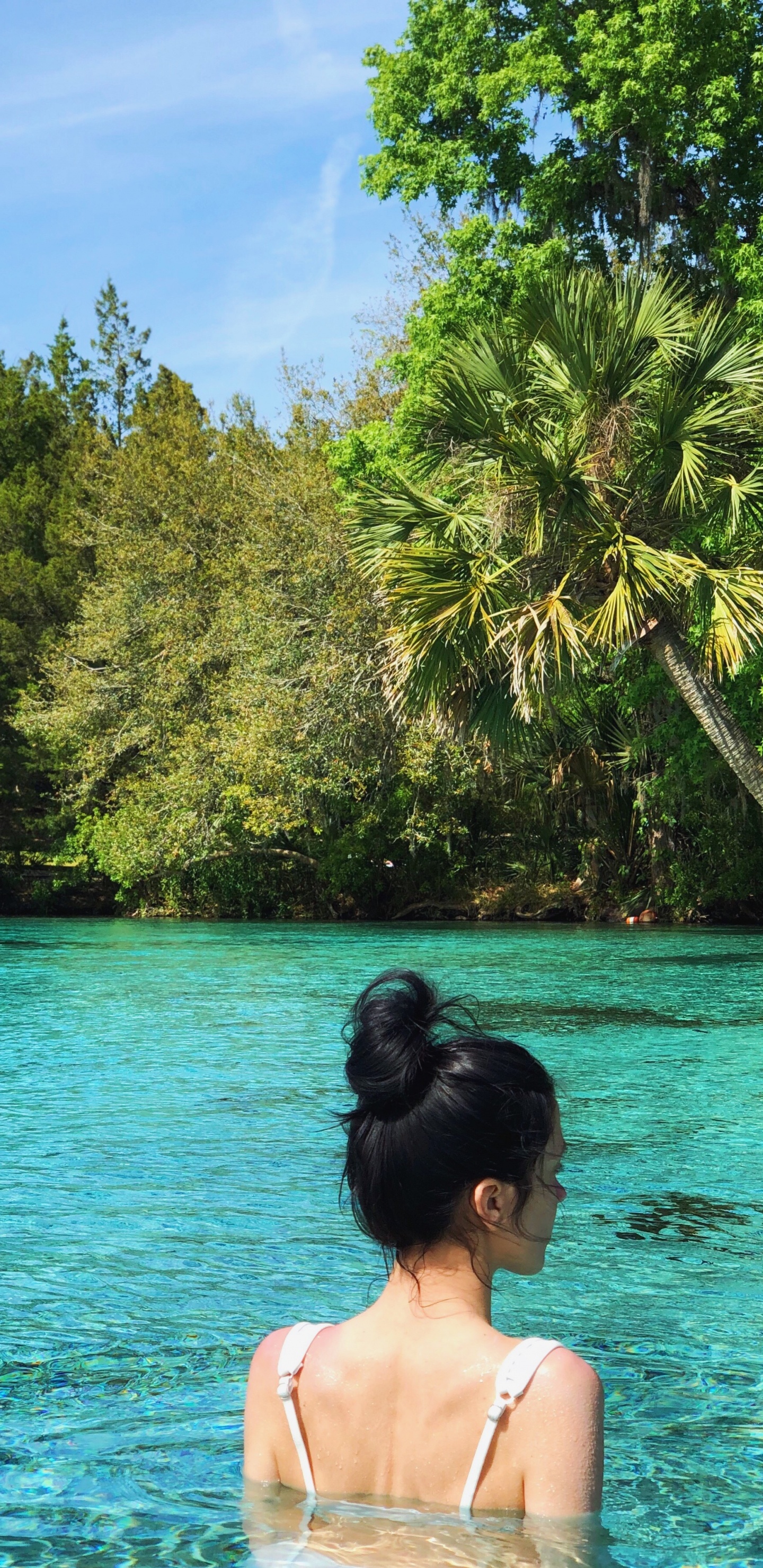 Обои вода, Лагуна, море, природа, тропическая зона в разрешении 1440x2960