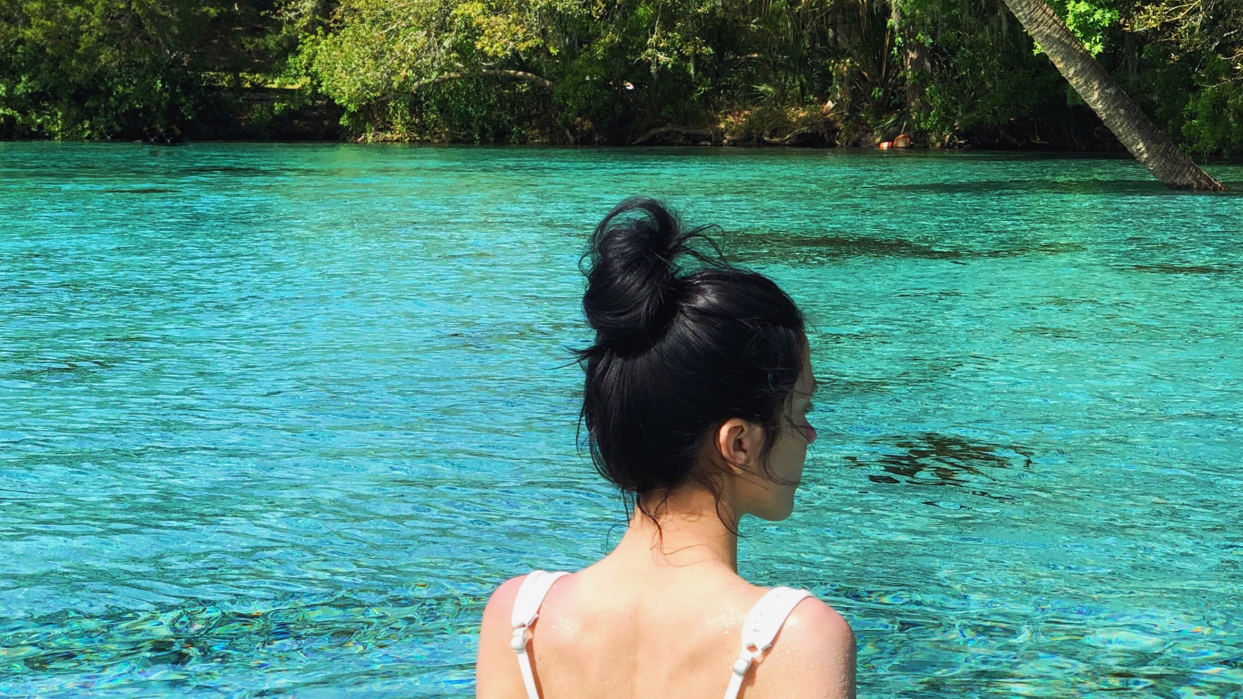 Обои вода, Лагуна, море, природа, тропическая зона в разрешении 2560x1440