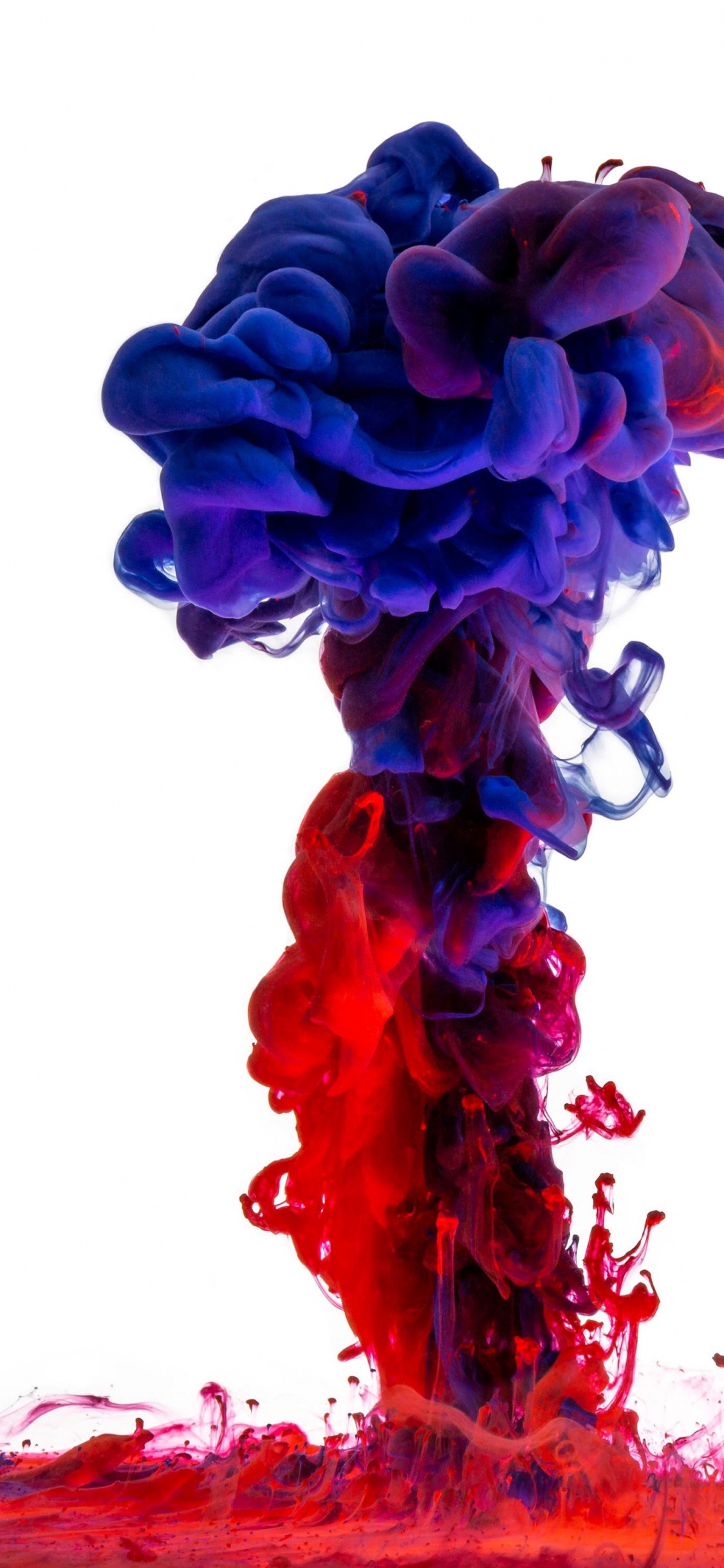 Обои цвет, акриловая краска, синий, красочность, красный цвет в разрешении 1125x2436