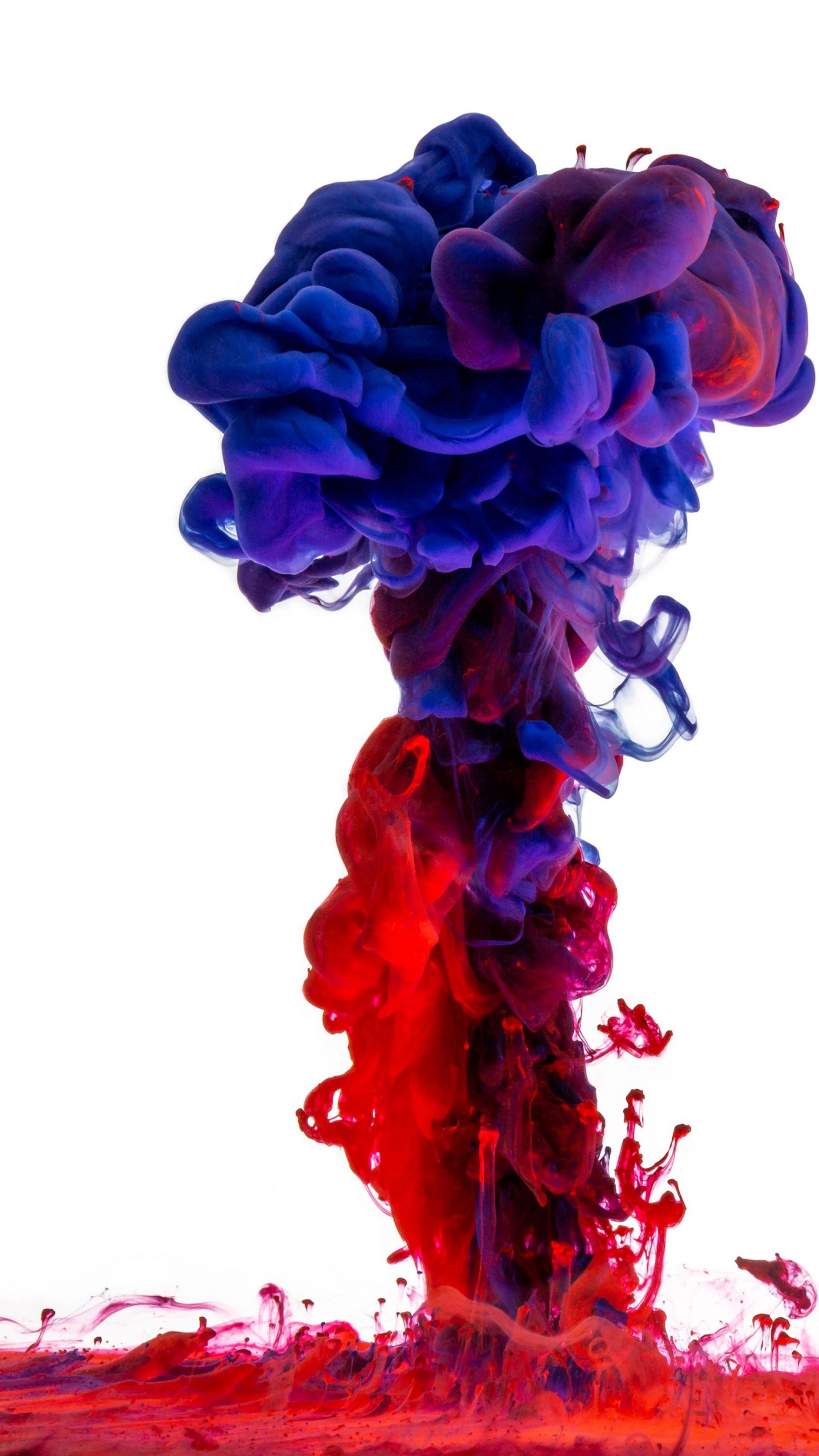 Обои цвет, акриловая краска, синий, красочность, красный цвет в разрешении 1440x2560