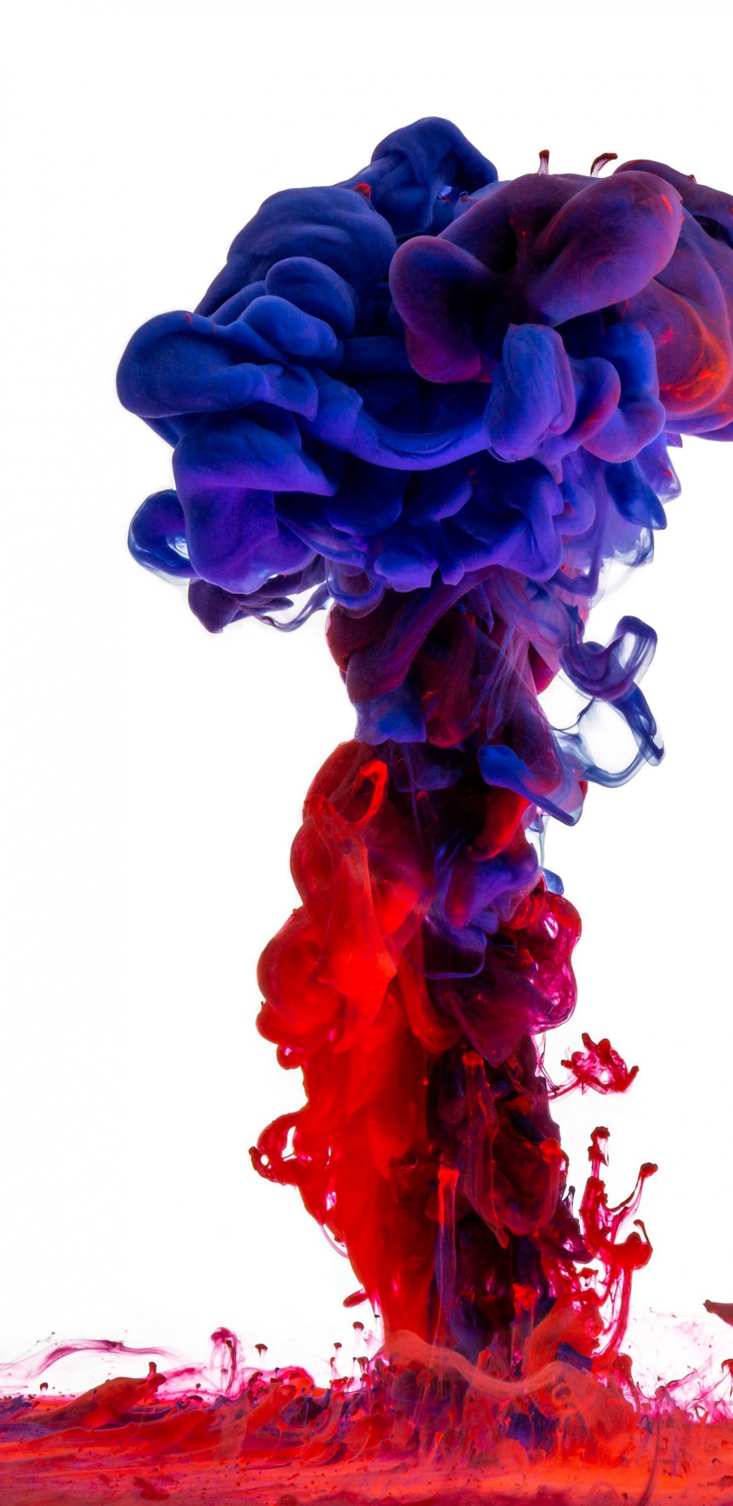 Обои цвет, акриловая краска, синий, красочность, красный цвет в разрешении 1440x2960