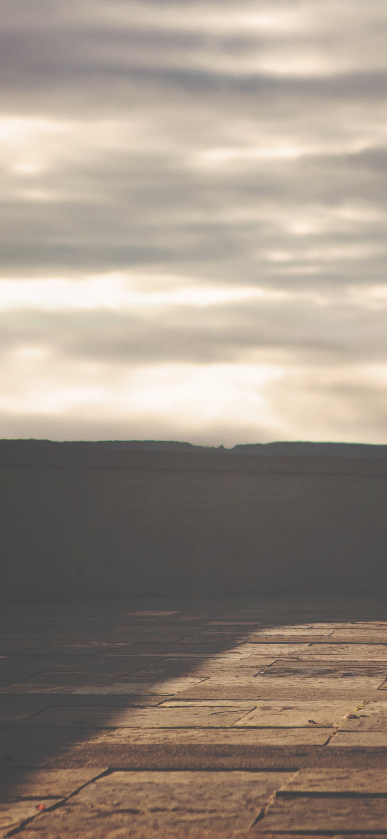 Обои пейзаж, пасха, олененок, заяц, древесина в разрешении 1242x2688