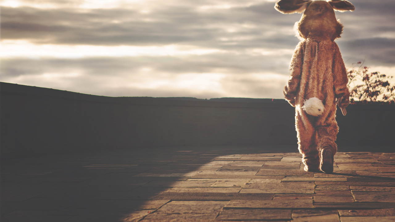 Обои пейзаж, пасха, олененок, заяц, древесина в разрешении 1280x720