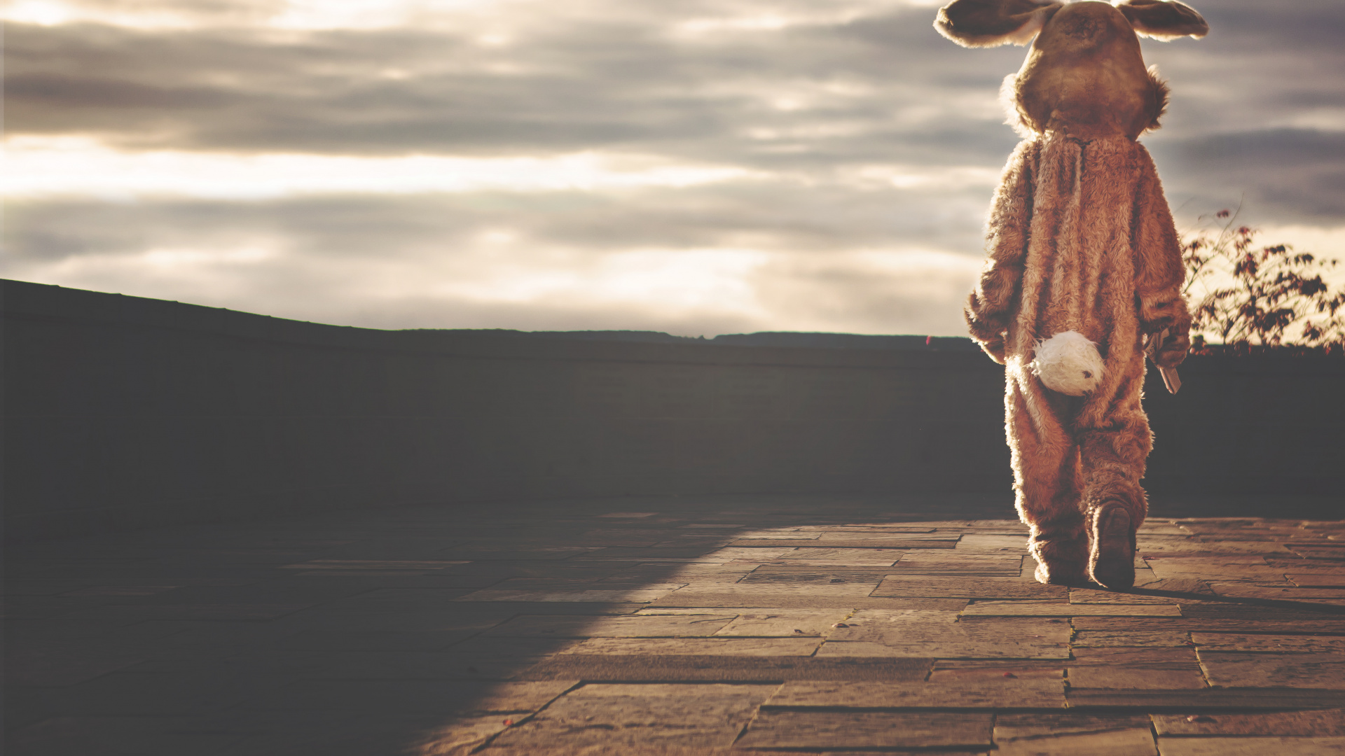 Обои пейзаж, пасха, олененок, заяц, древесина в разрешении 1920x1080