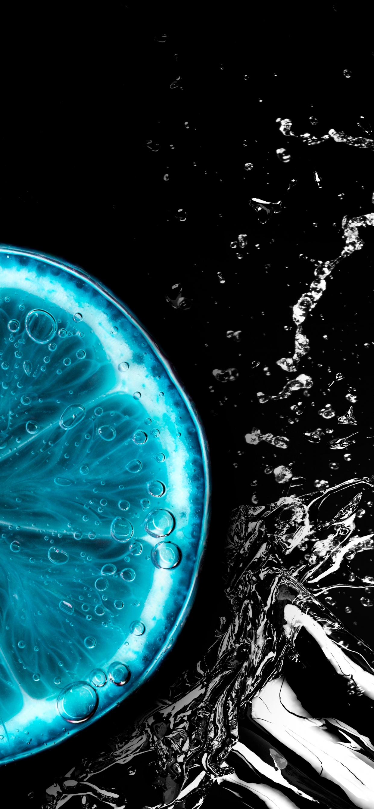 Обои вода, растение, жидкий, черный, автомобильное освещение в разрешении 1242x2688