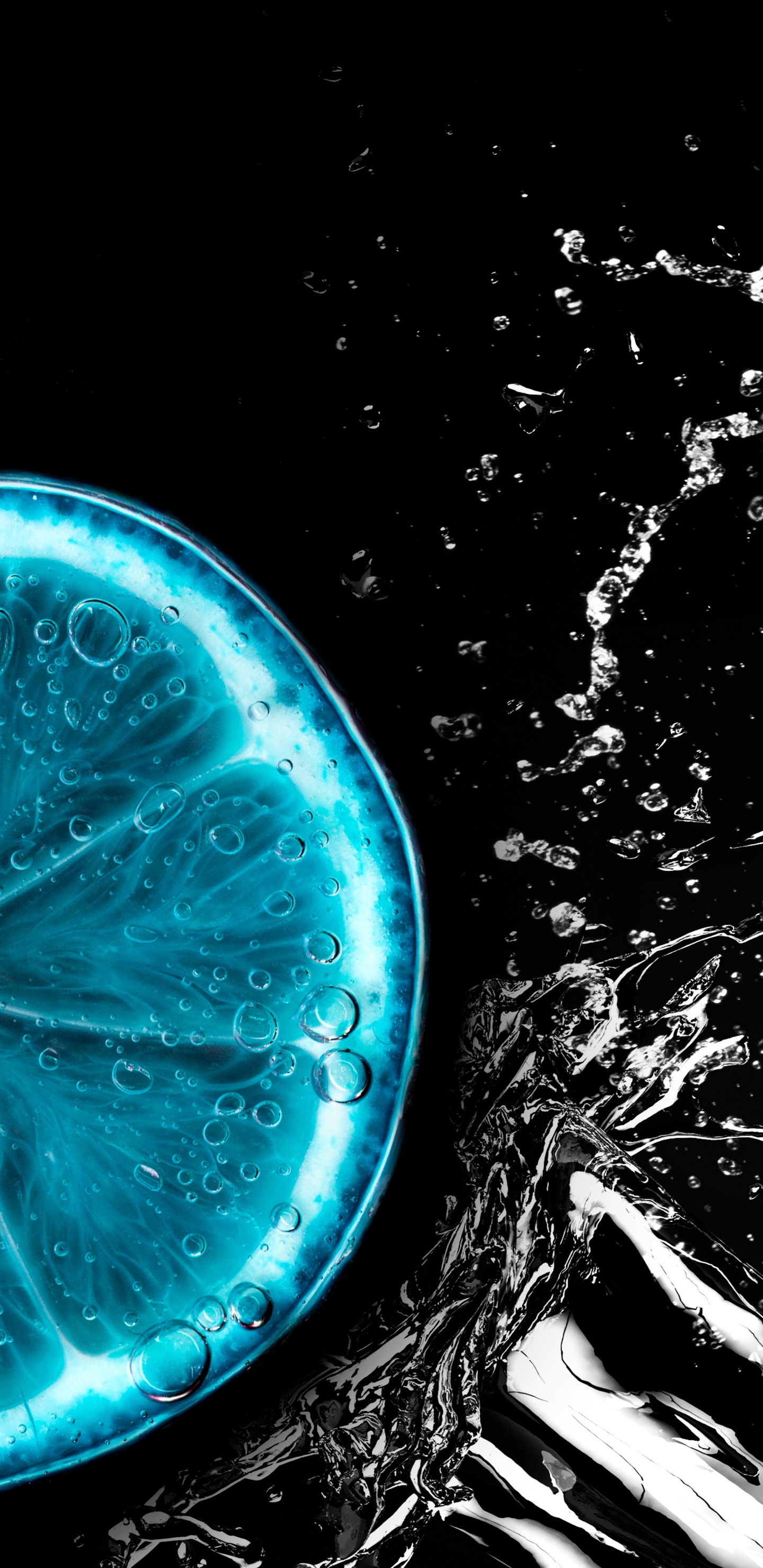 Обои вода, растение, жидкий, черный, автомобильное освещение в разрешении 1440x2960