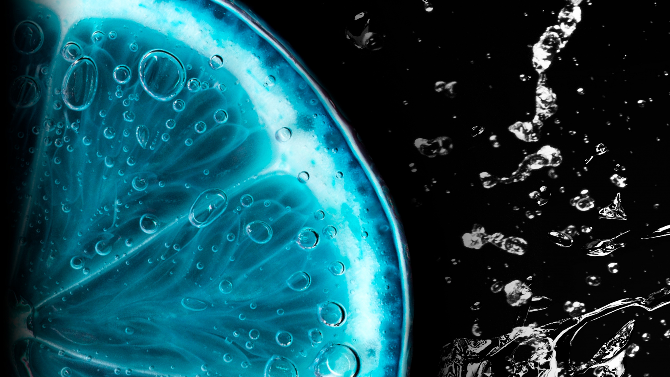 Обои вода, растение, жидкий, черный, автомобильное освещение в разрешении 2560x1440