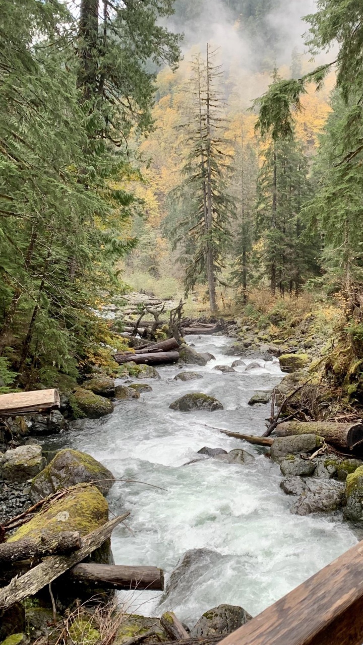 Обои природа, вода, растение, природный ландшафт, окружающая среда в разрешении 720x1280