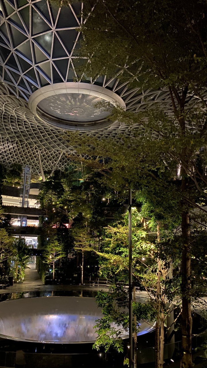 Обои отражение, ландшафтное освещение, вода, водоем, ночь в разрешении 720x1280