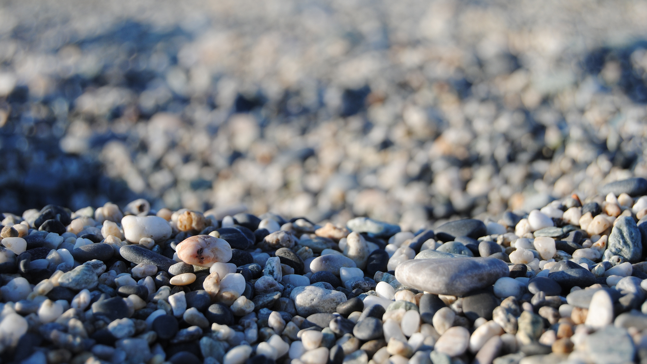 Обои булыжник, гравий, песок, море, пляж в разрешении 2560x1440