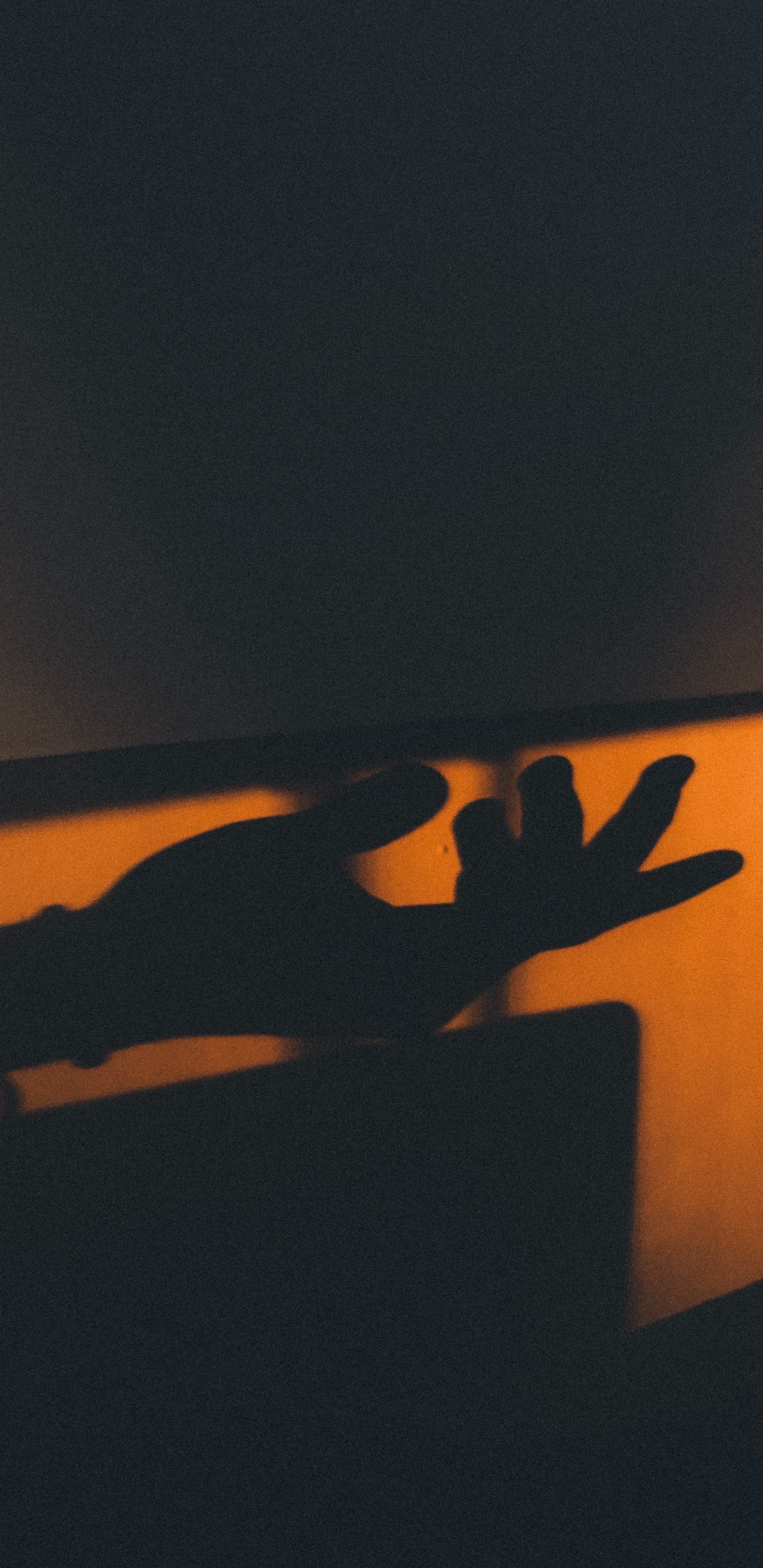 Обои Апельсин, текст, облако, дерево, пейзаж в разрешении 1440x2960