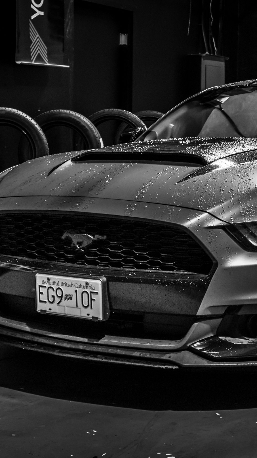 Обои авто, компания Ford, черный, капюшон, монохромный в разрешении 1080x1920