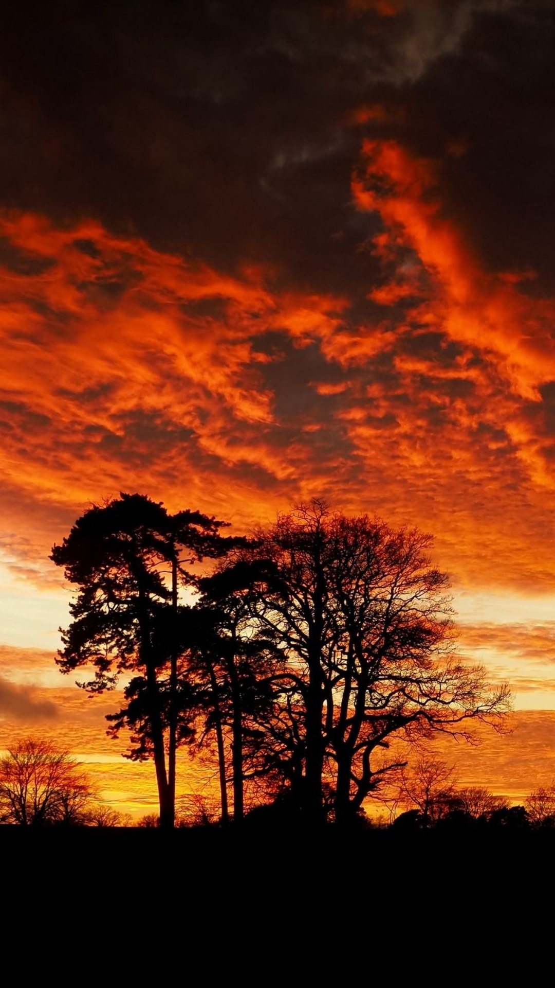 Обои силуэт, облако, атмосфера, экорегион, природный ландшафт в разрешении 1080x1920