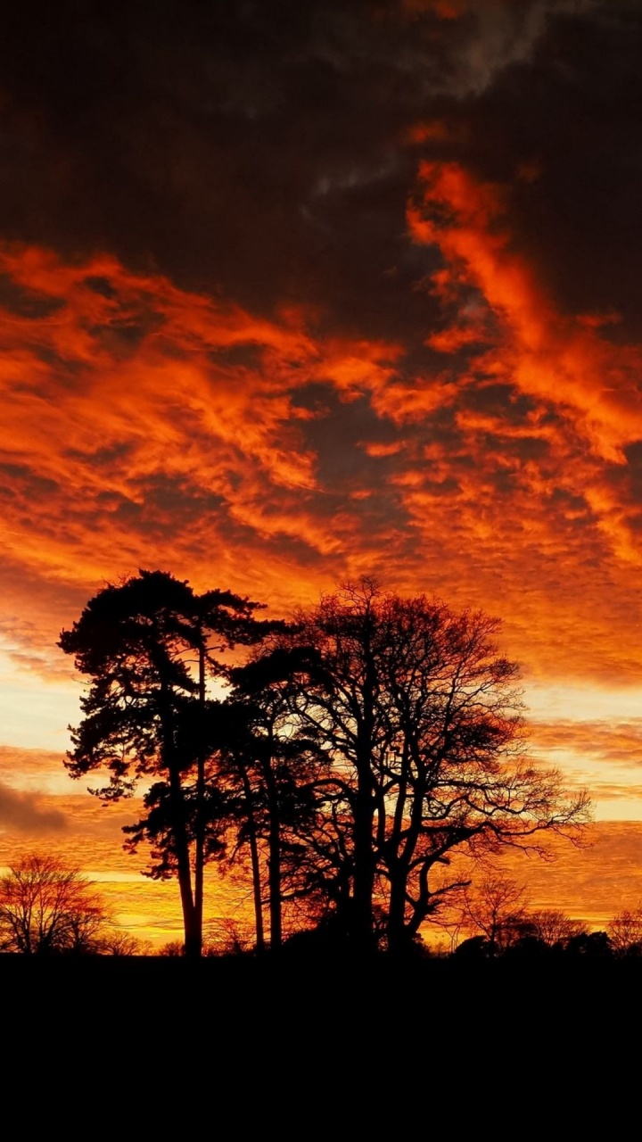 Обои силуэт, облако, атмосфера, экорегион, природный ландшафт в разрешении 720x1280