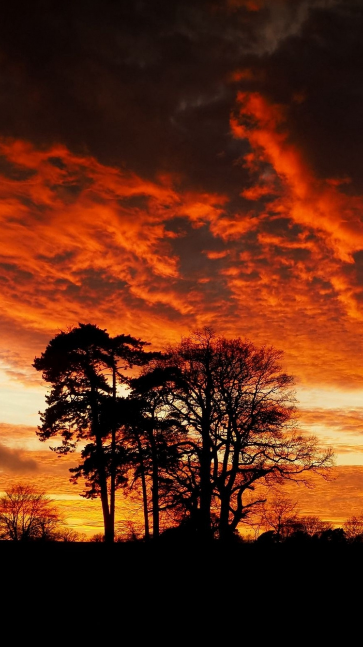 Обои силуэт, облако, атмосфера, экорегион, природный ландшафт в разрешении 750x1334