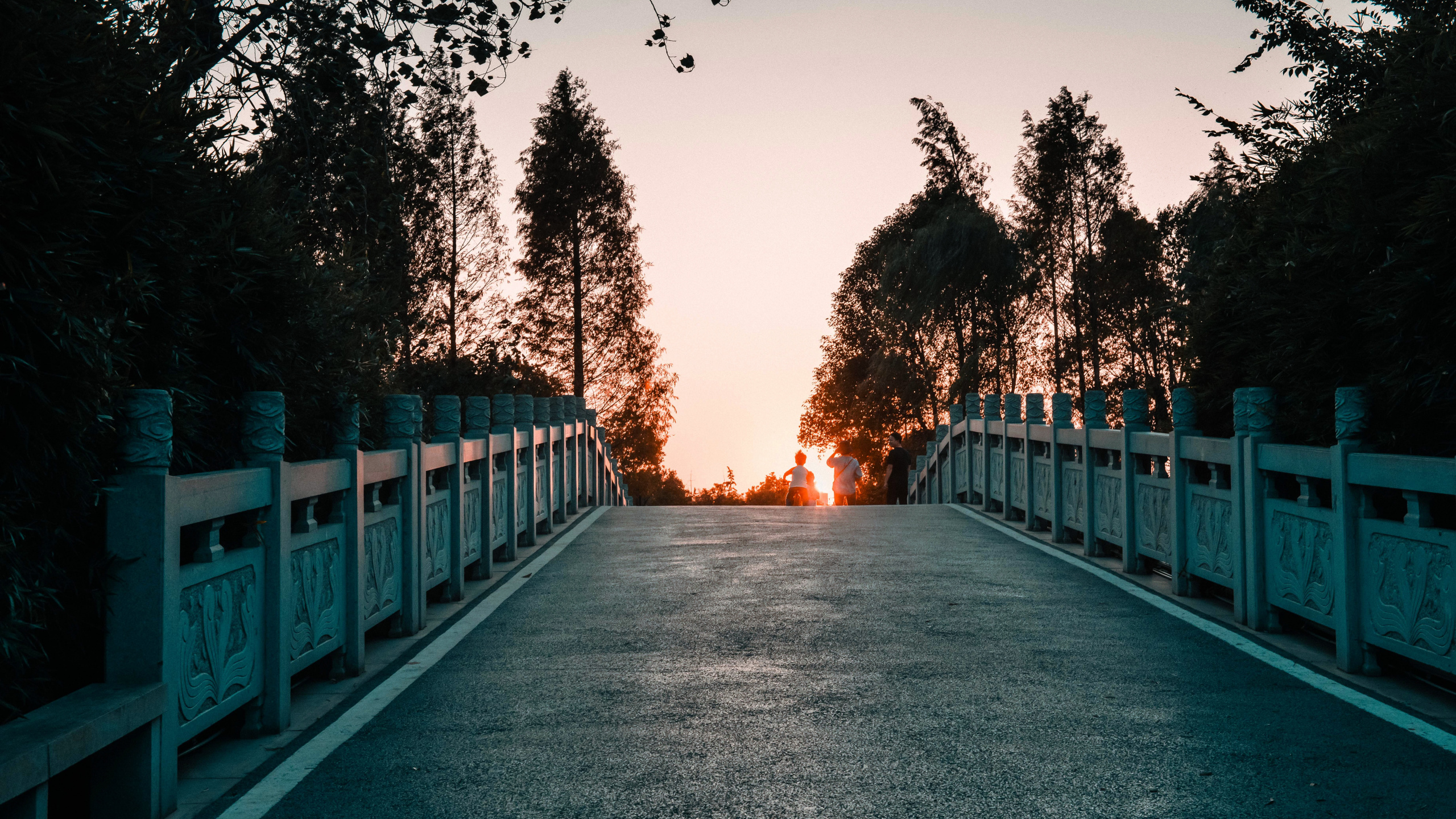 Обои дерево, свет, природный ландшафт, дорога, утро в разрешении 2560x1440