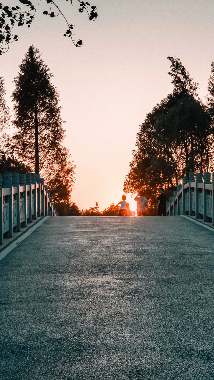 Обои дерево, свет, природный ландшафт, дорога, утро в разрешении 750x1334