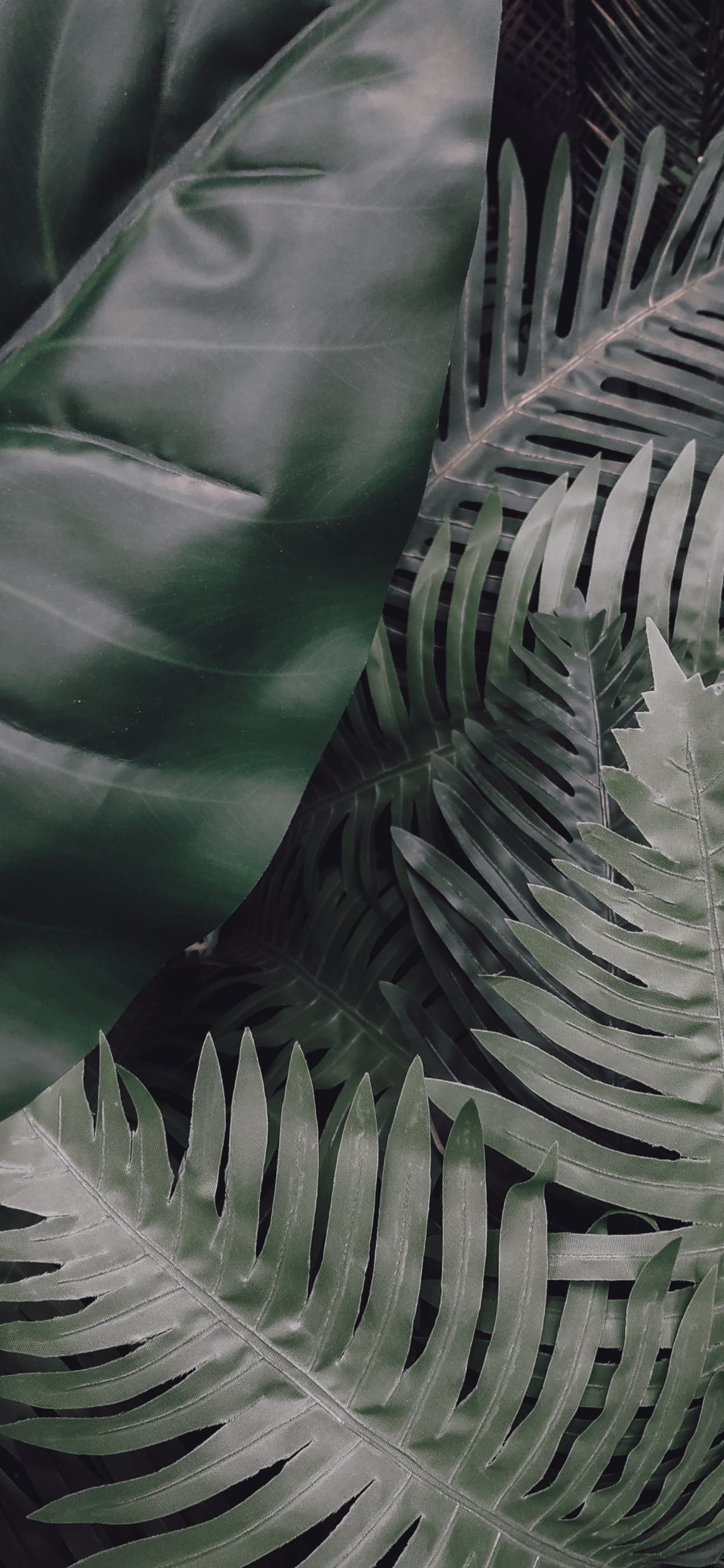 Обои лист, зеленый, растительность, наземное растение, растение в разрешении 1242x2688