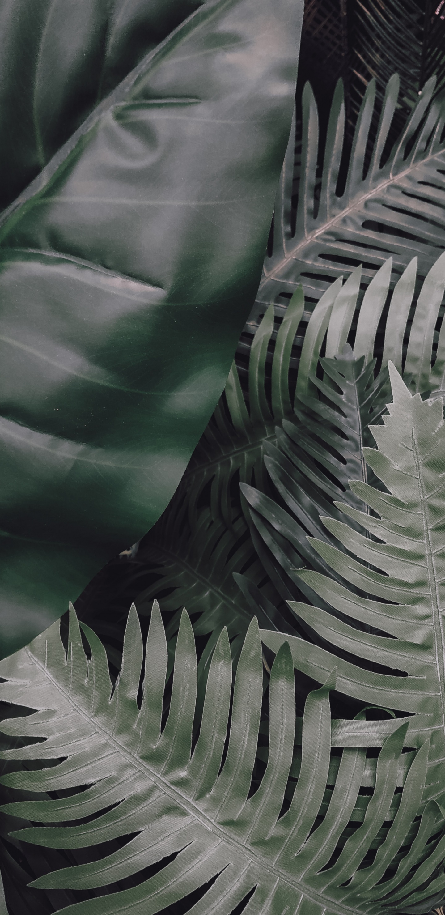 Обои лист, зеленый, растительность, наземное растение, растение в разрешении 1440x2960